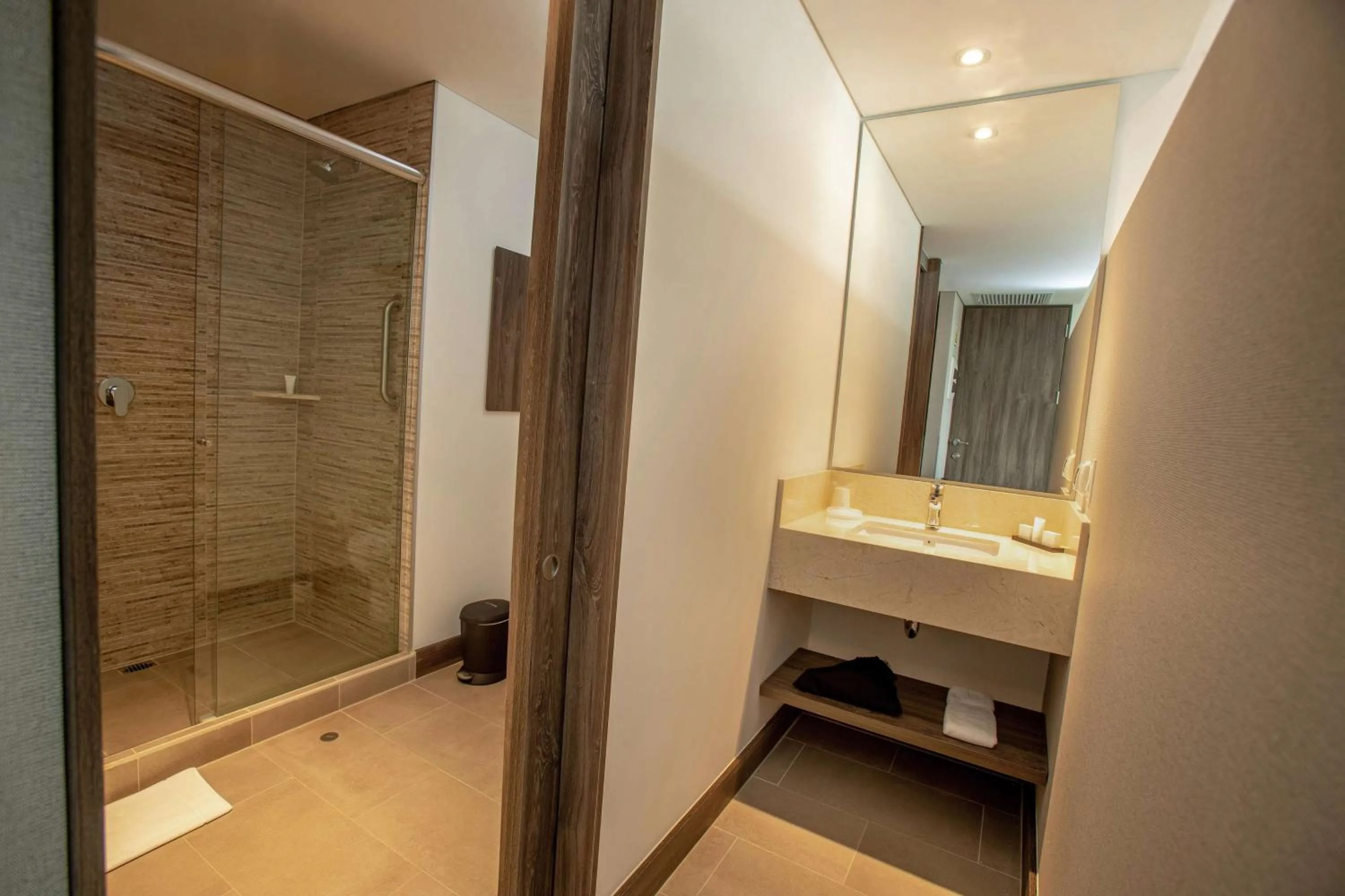 Shower in Hampton By Hilton Lima San Isidro