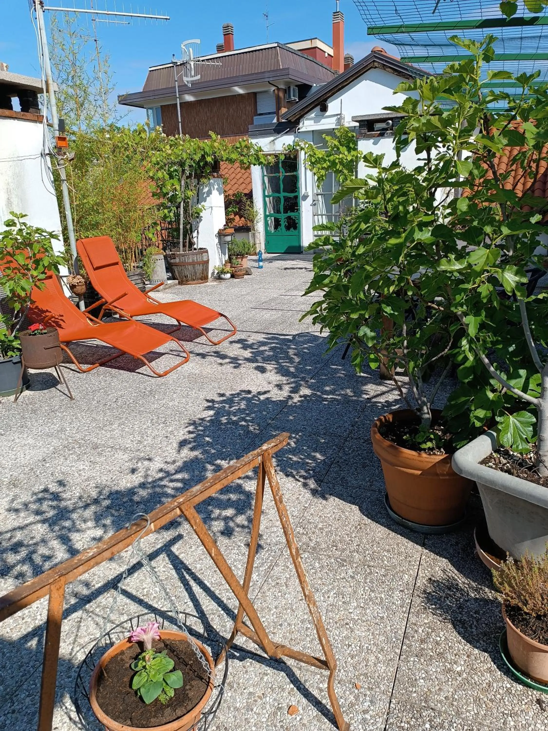 Garden view in The Liberty Terrace