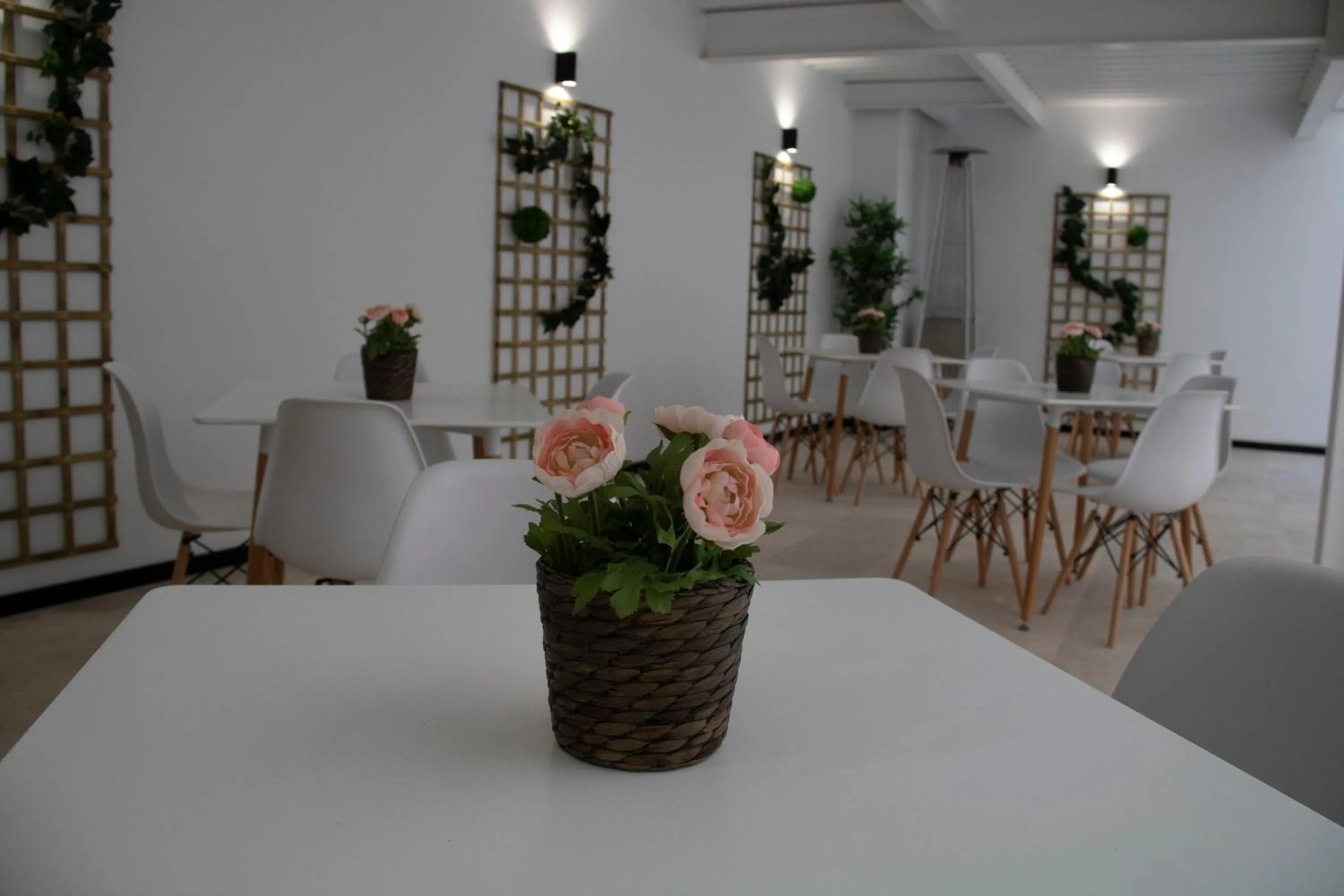 Area and facilities in Hotel Alda Orzán