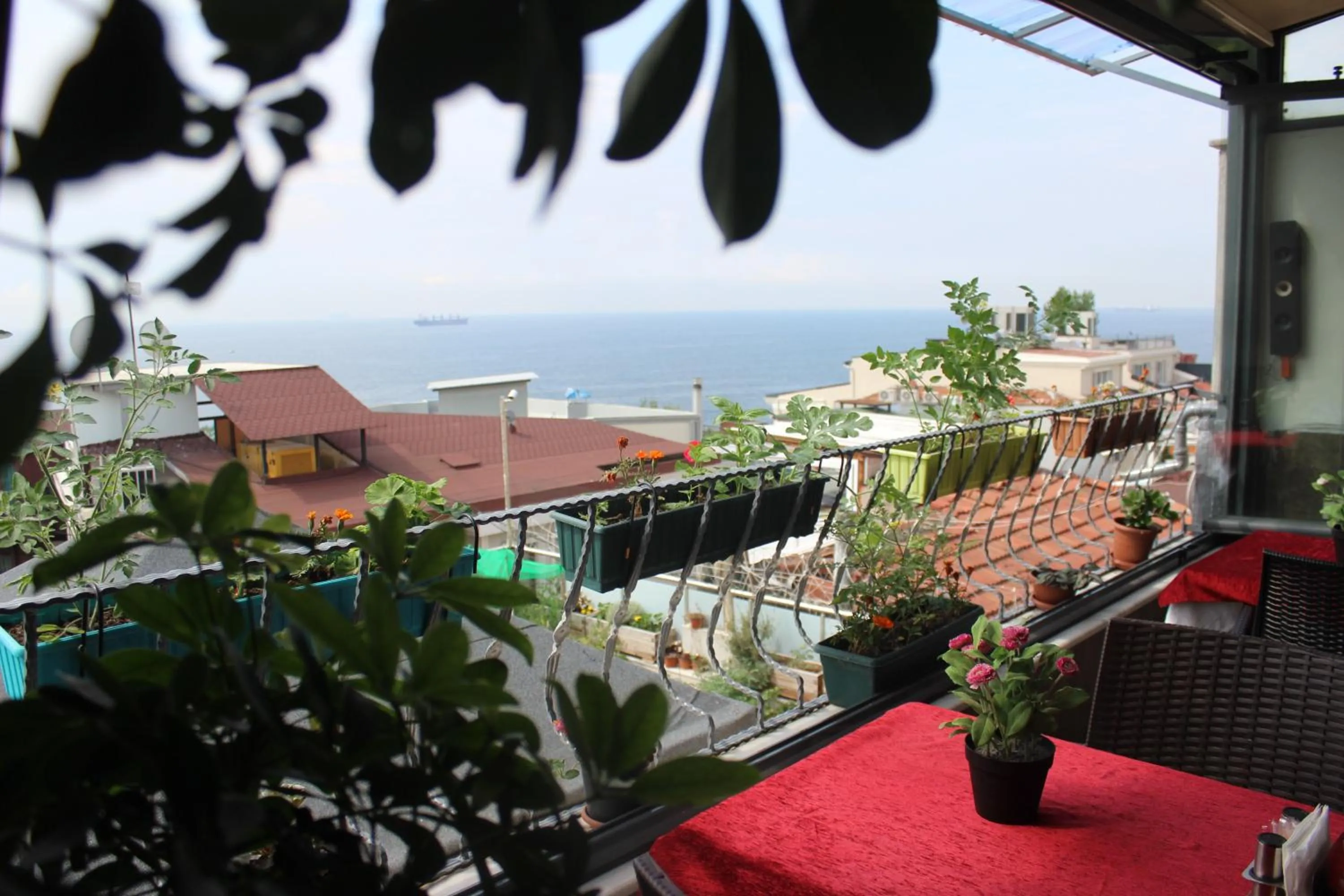 Balcony/Terrace in Stanpoli Hostel