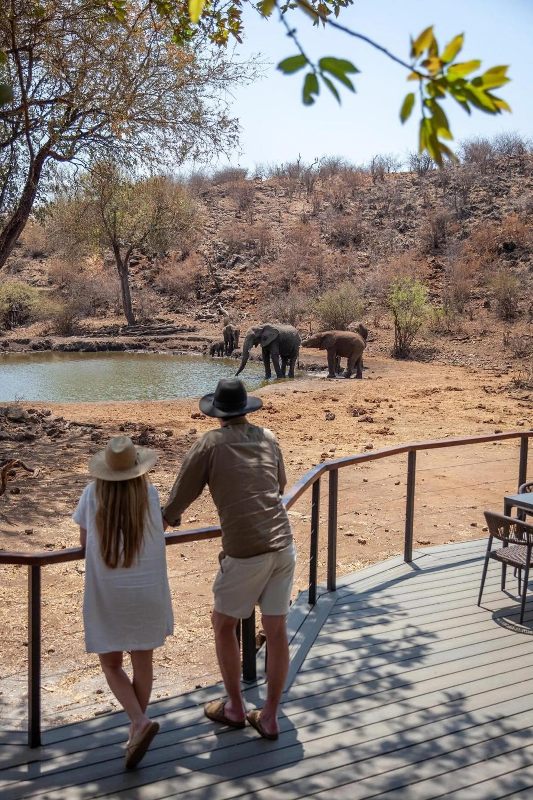 Animals in Tuningi Safari Lodge