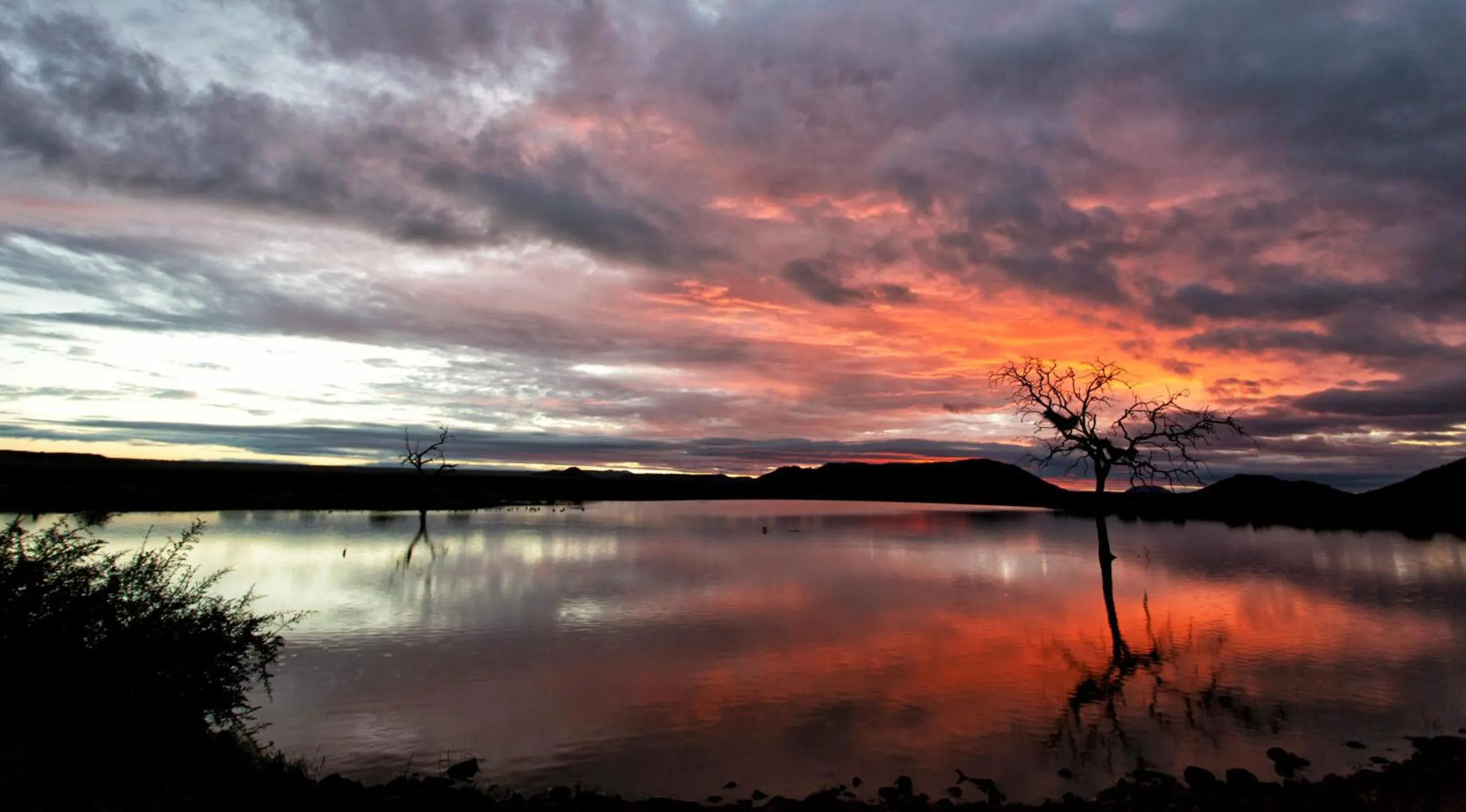 Natural landscape in Tuningi Safari Lodge