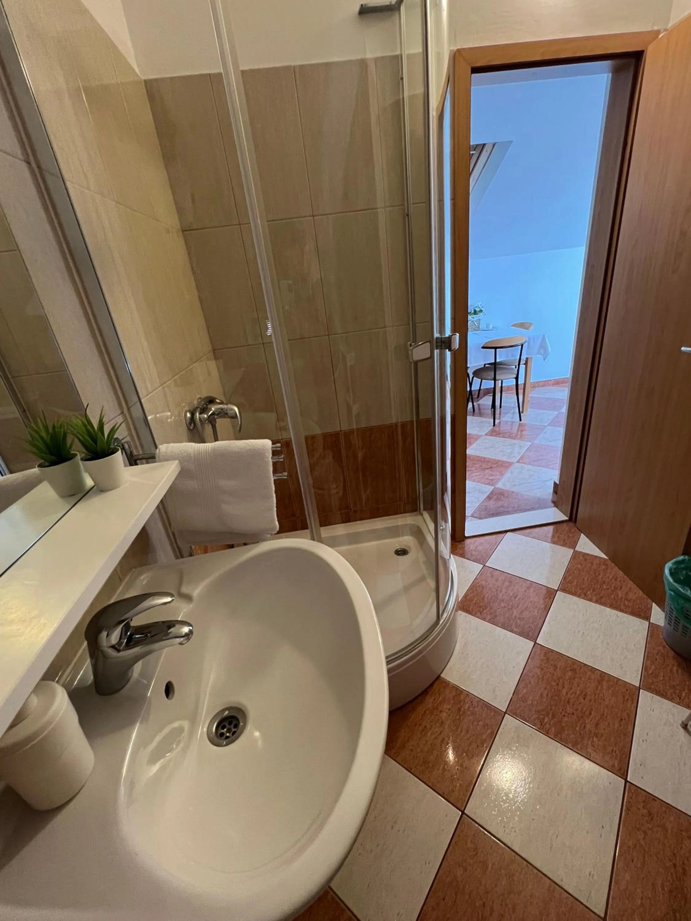 Shower in Apartments and Rooms Katija & Egon