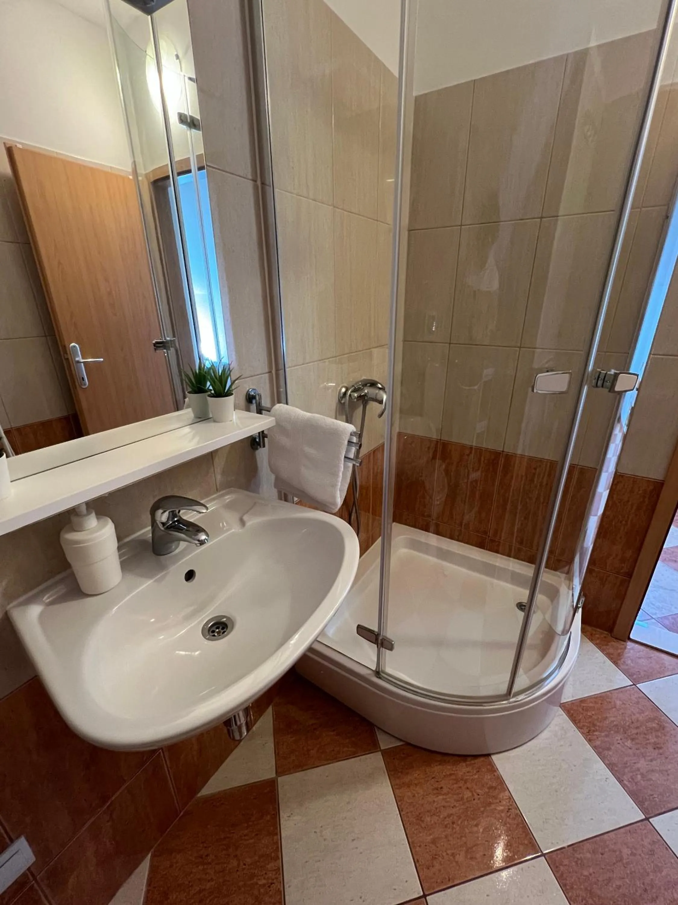 Shower in Apartments and Rooms Katija & Egon