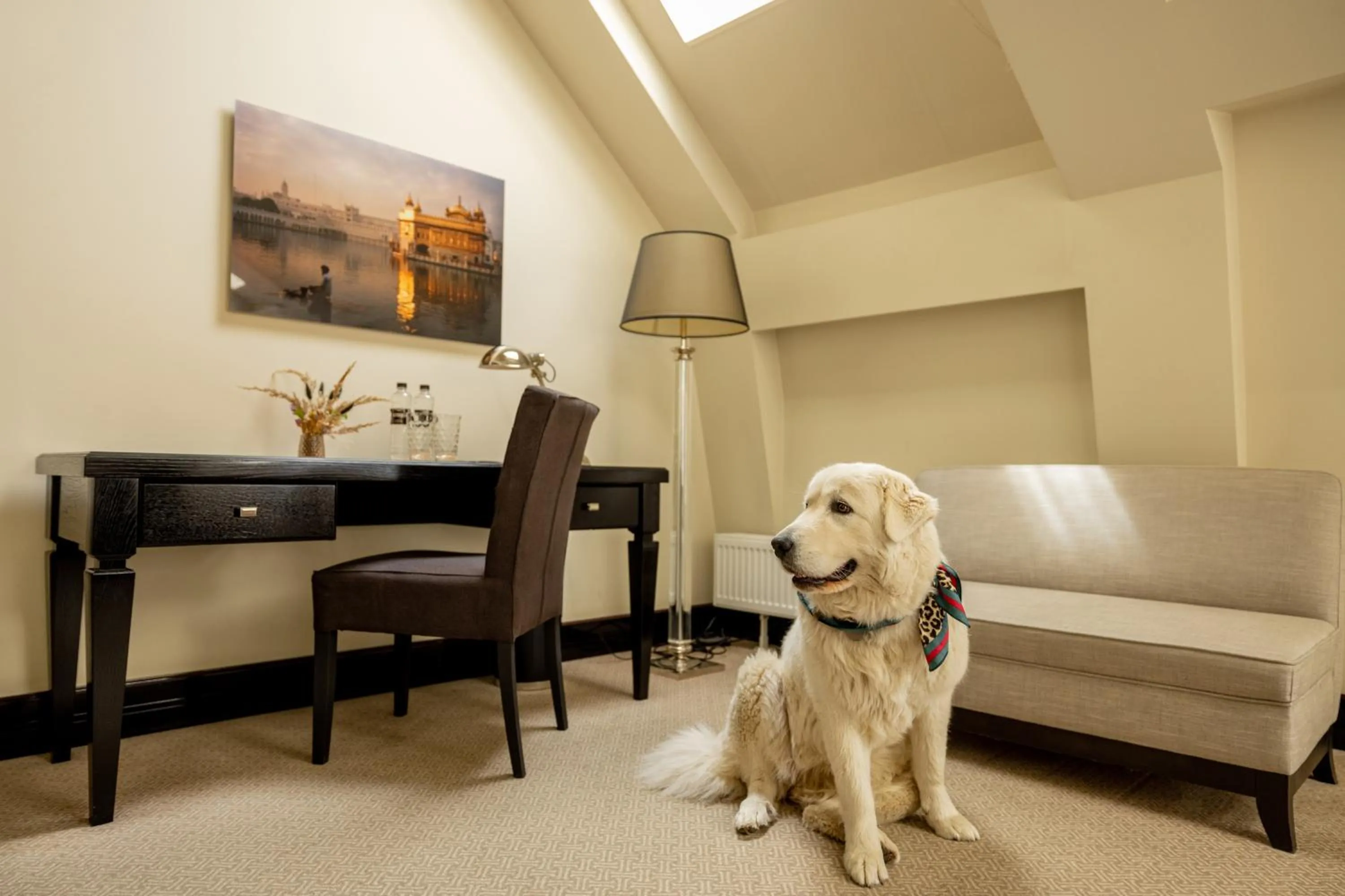 Pets in Astoria Hotel