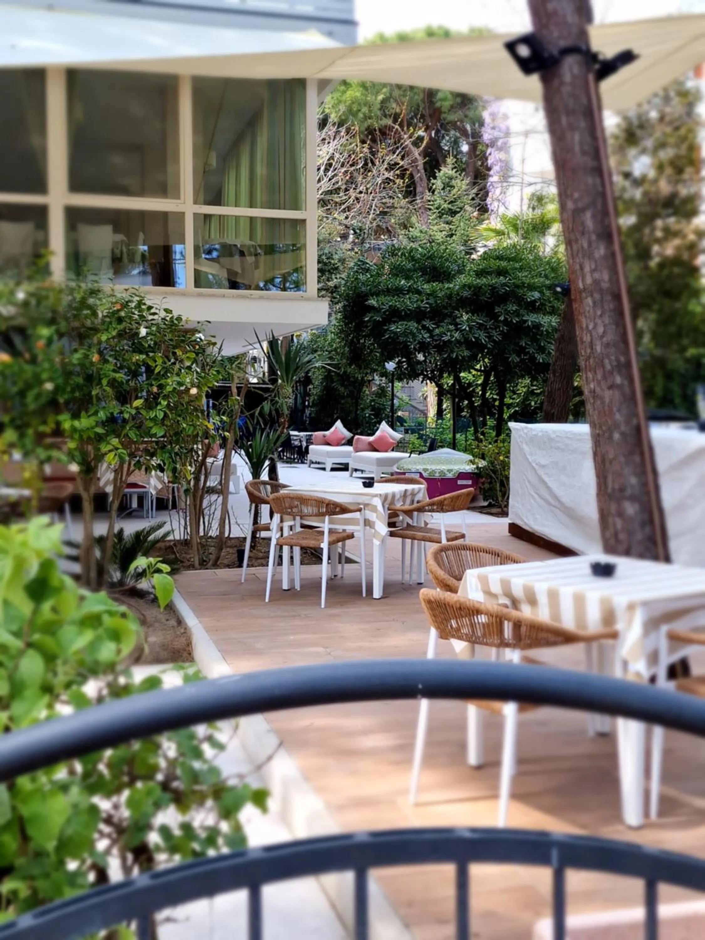 Garden in Hotel Deborah