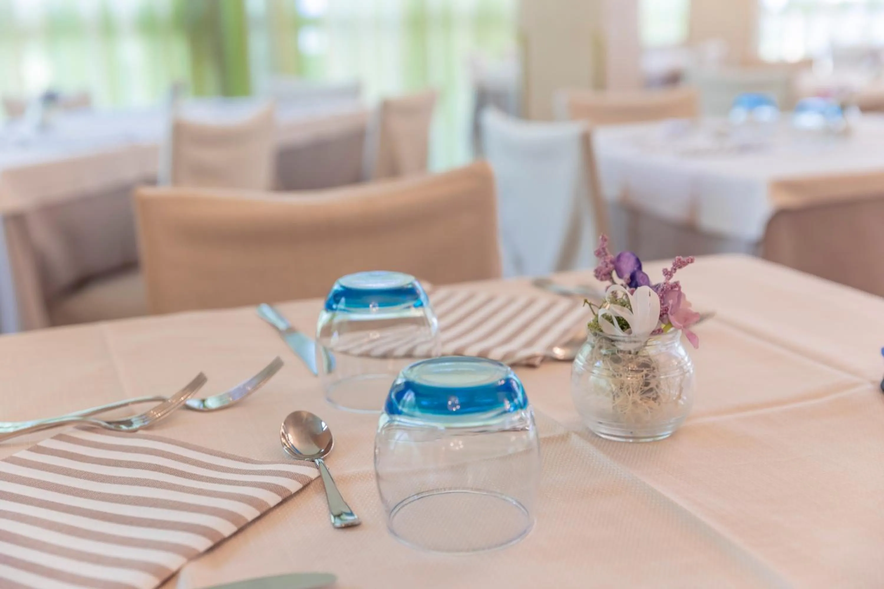 Restaurant/places to eat in Hotel Deborah