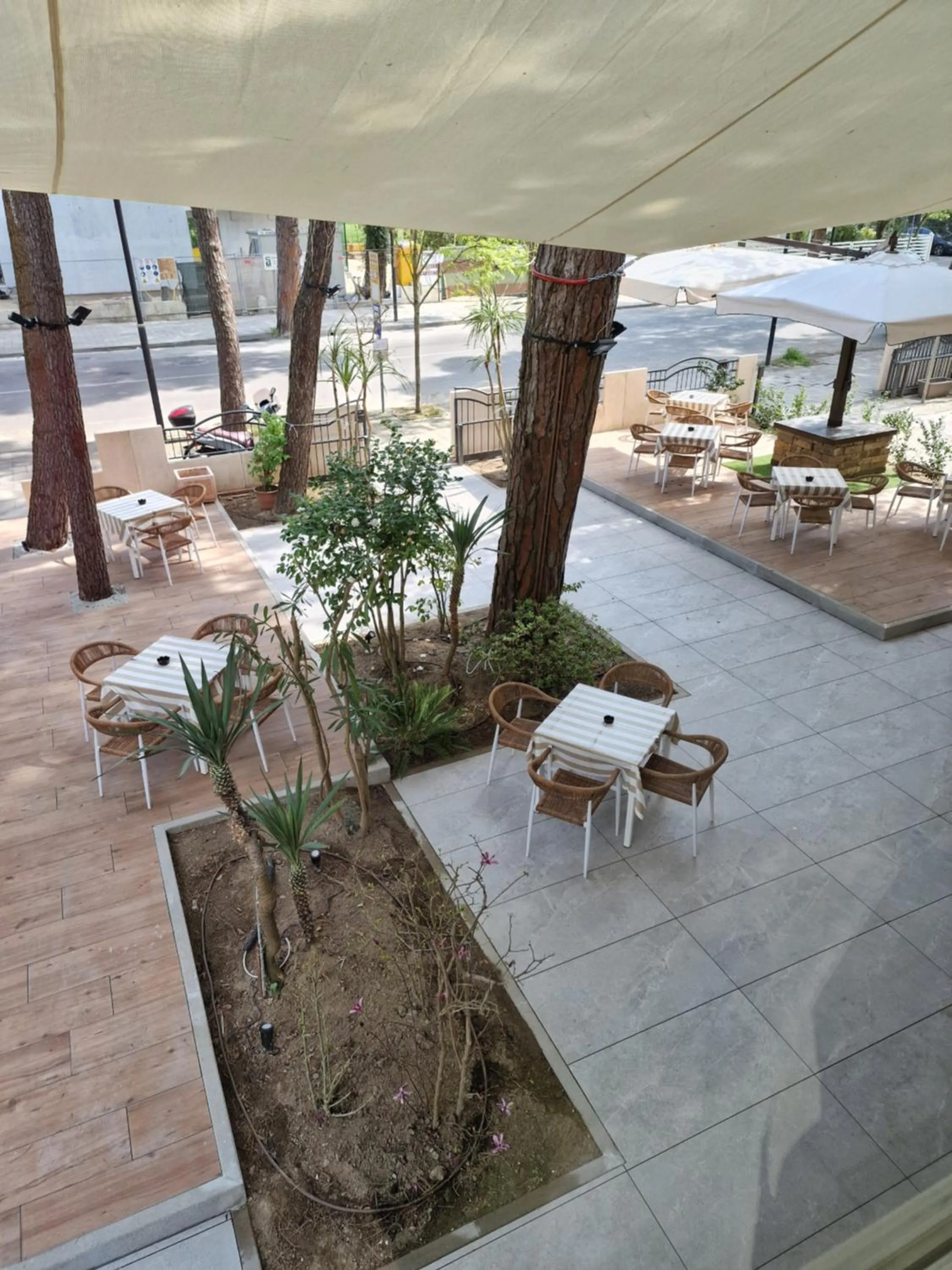 Garden in Hotel Deborah