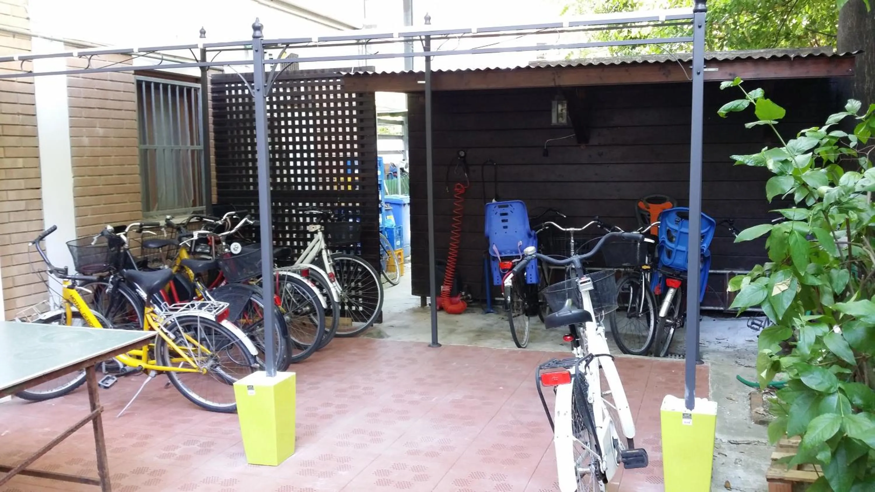 Activities in Hotel Deborah