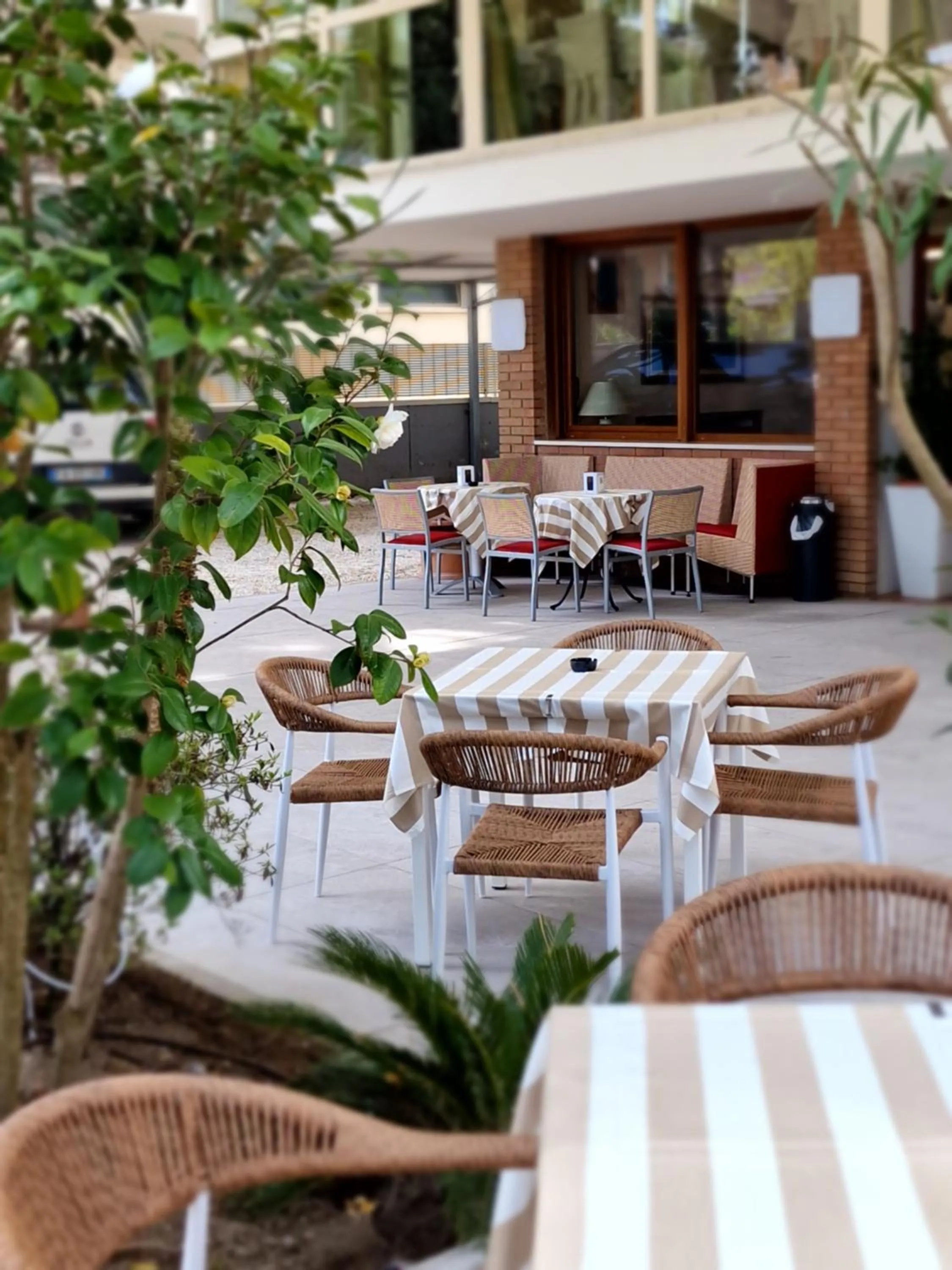 Garden in Hotel Deborah