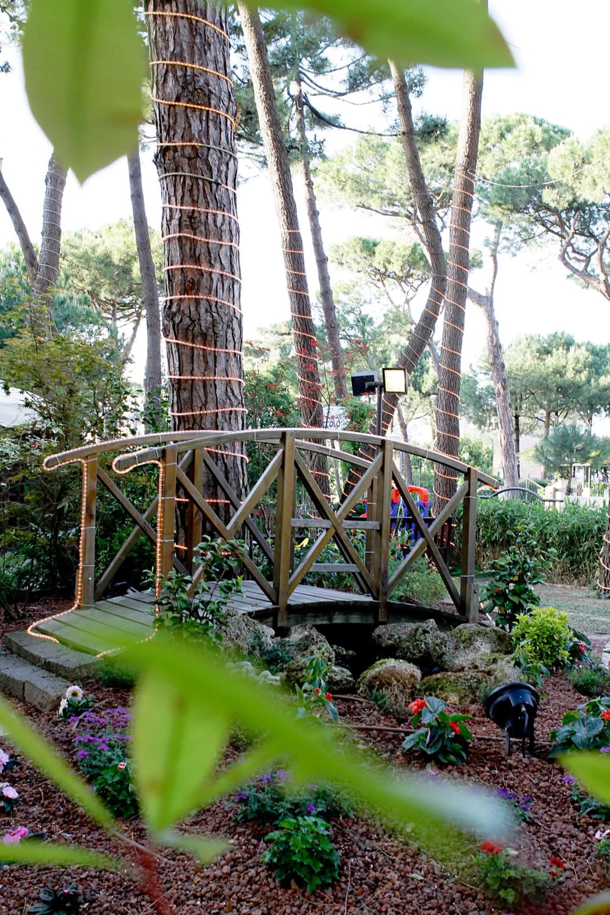 Garden in Hotel Deborah