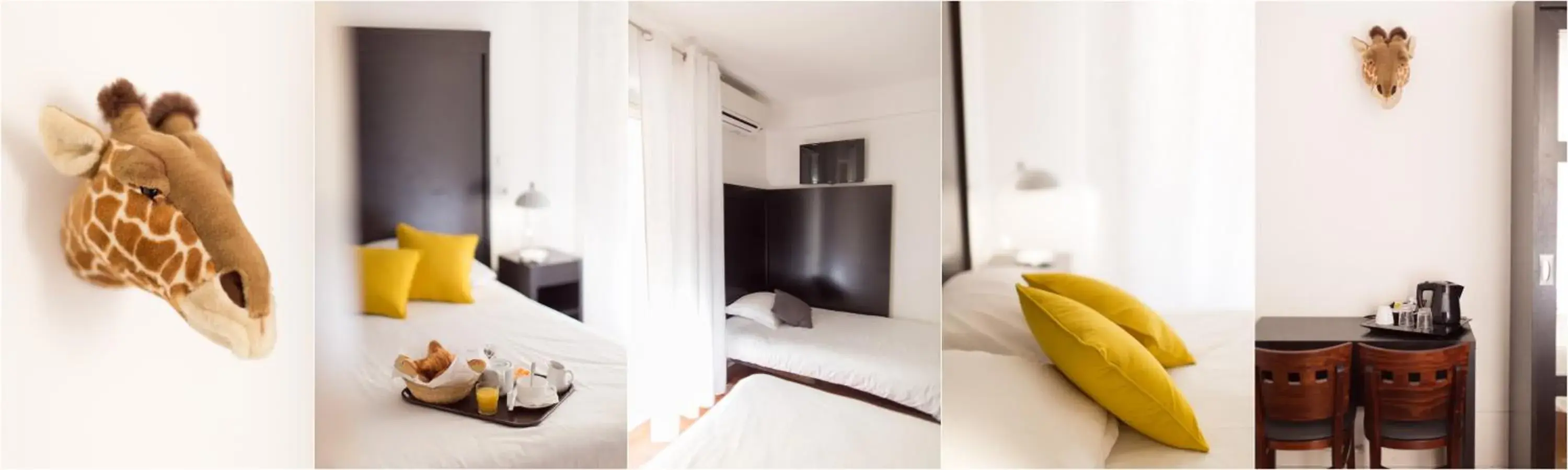 Photo of the whole room in Esperanto Photo of the whole room in Esperanto