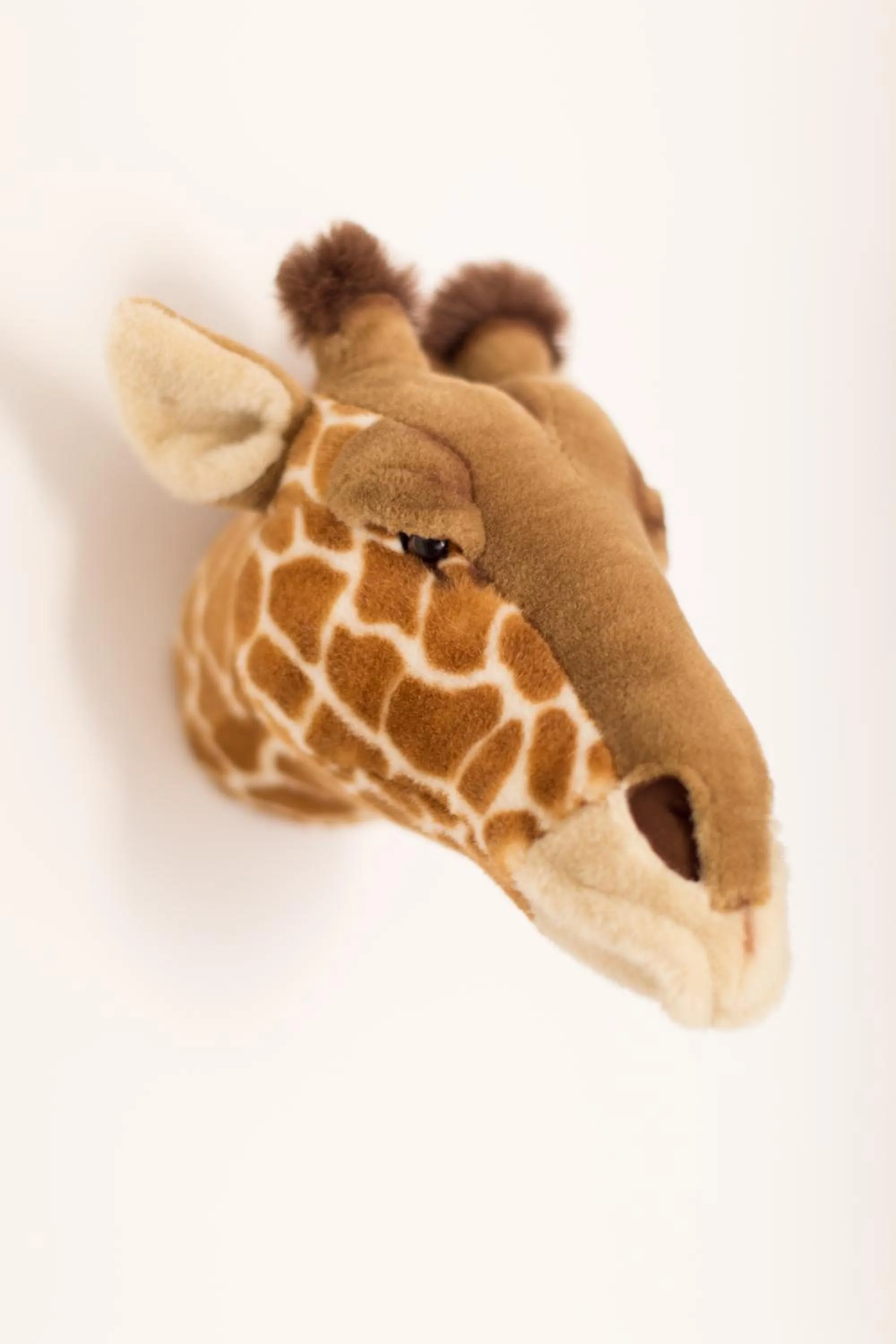 Decorative detail in Esperanto