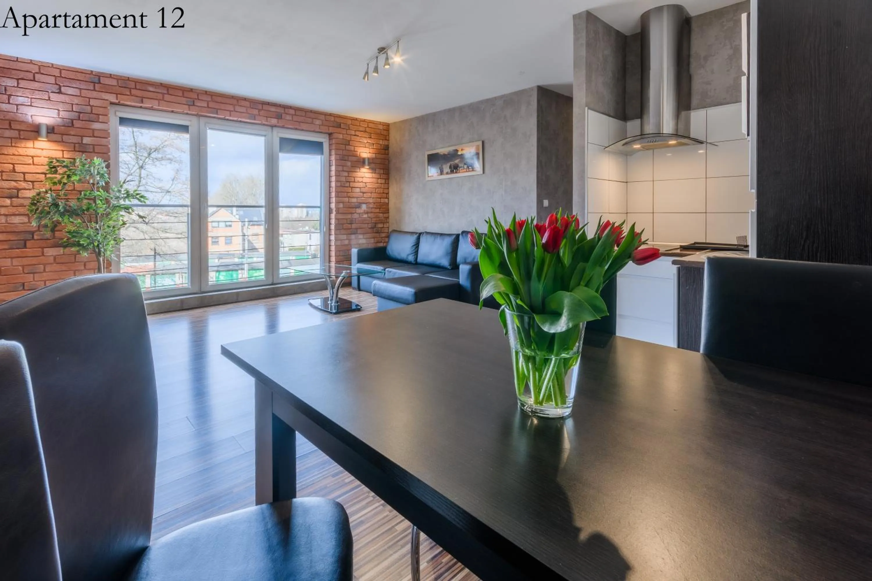 Kitchen or kitchenette in Apartamenty Katowice by Lantier - Swimming Pool Zone