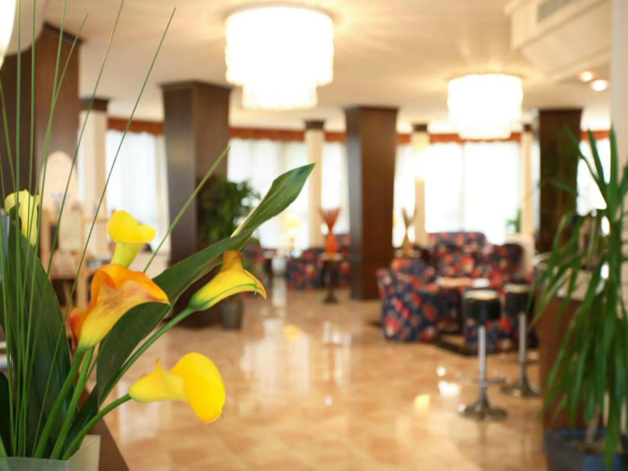Lobby or reception in Hotel Fenice Gluten Free
