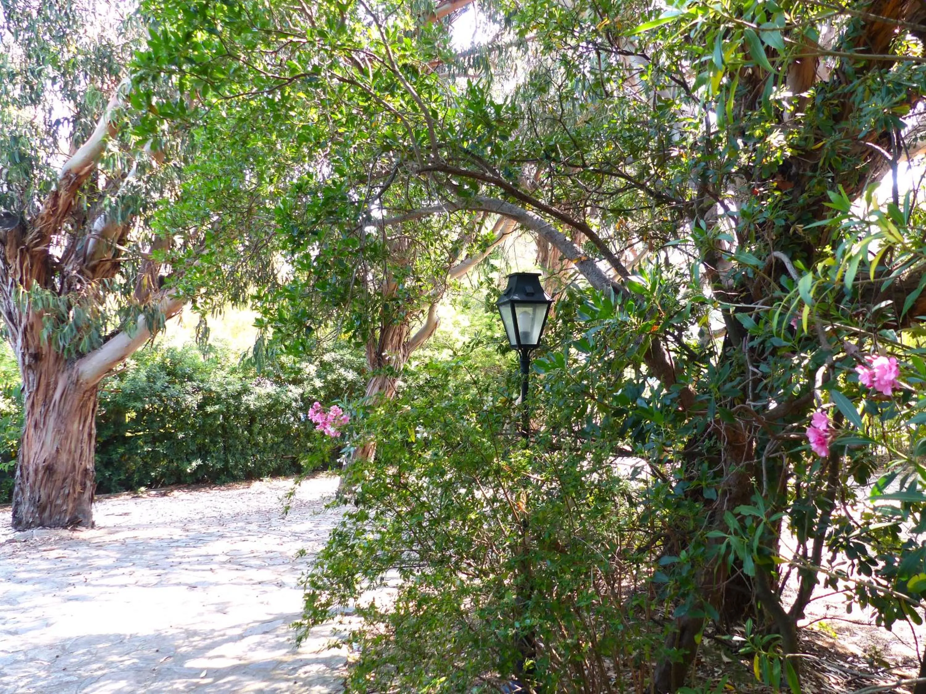 Garden in Hôtel Cap Soleil