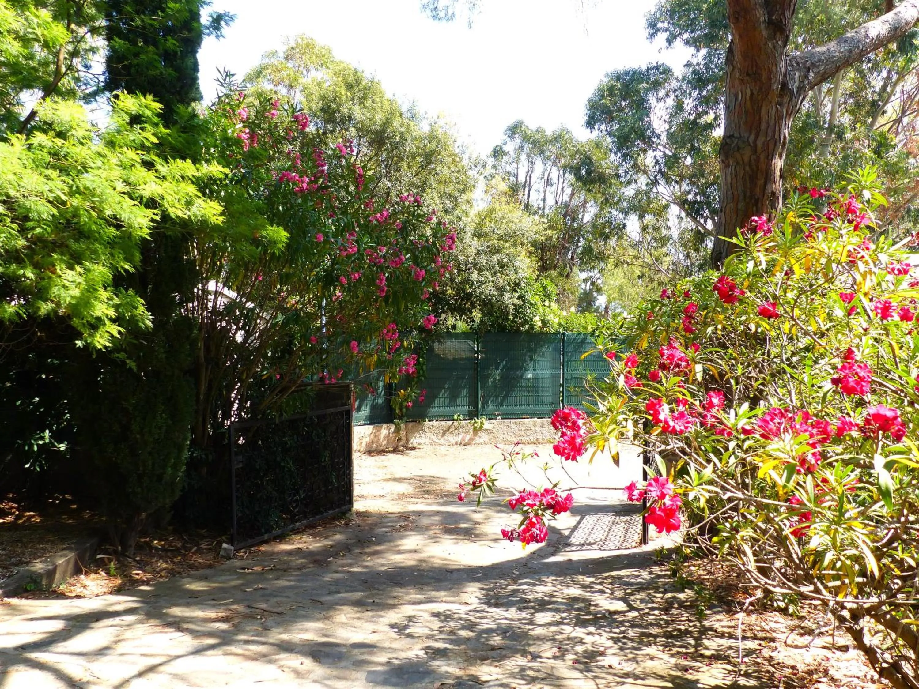 Facade/entrance in Hôtel Cap Soleil