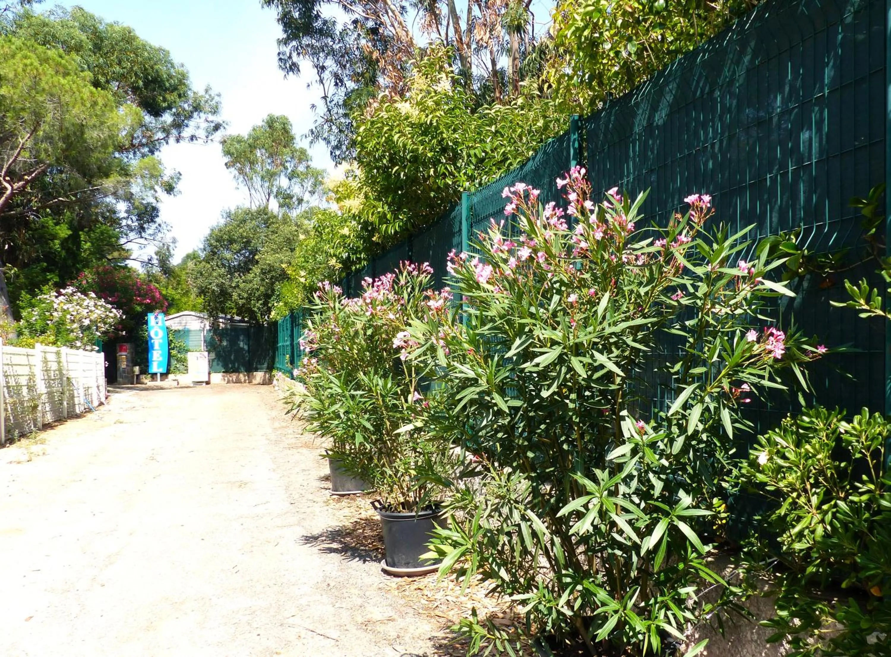 Facade/entrance in Hôtel Cap Soleil