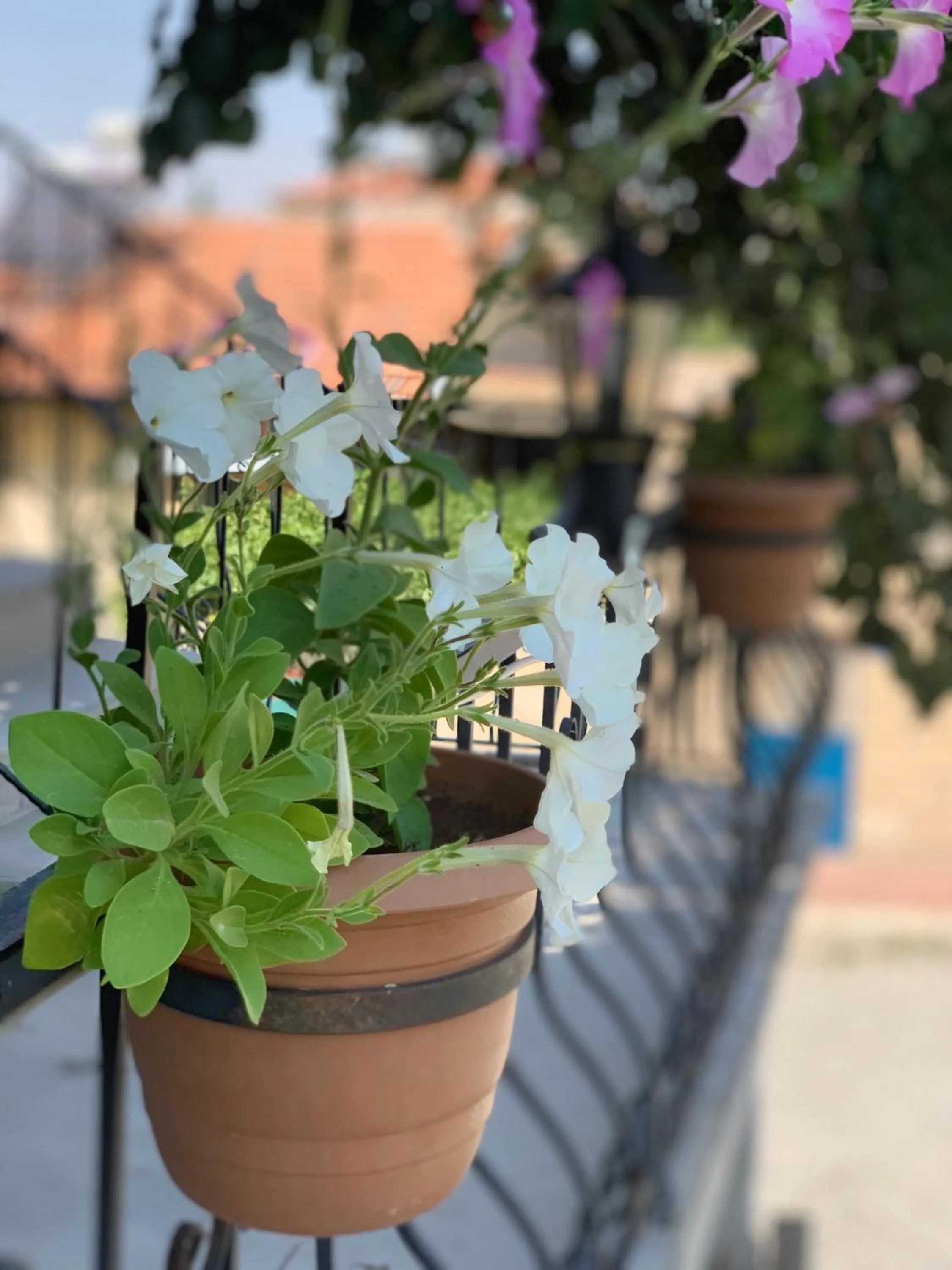 Decorative detail in Capiedra Hotel