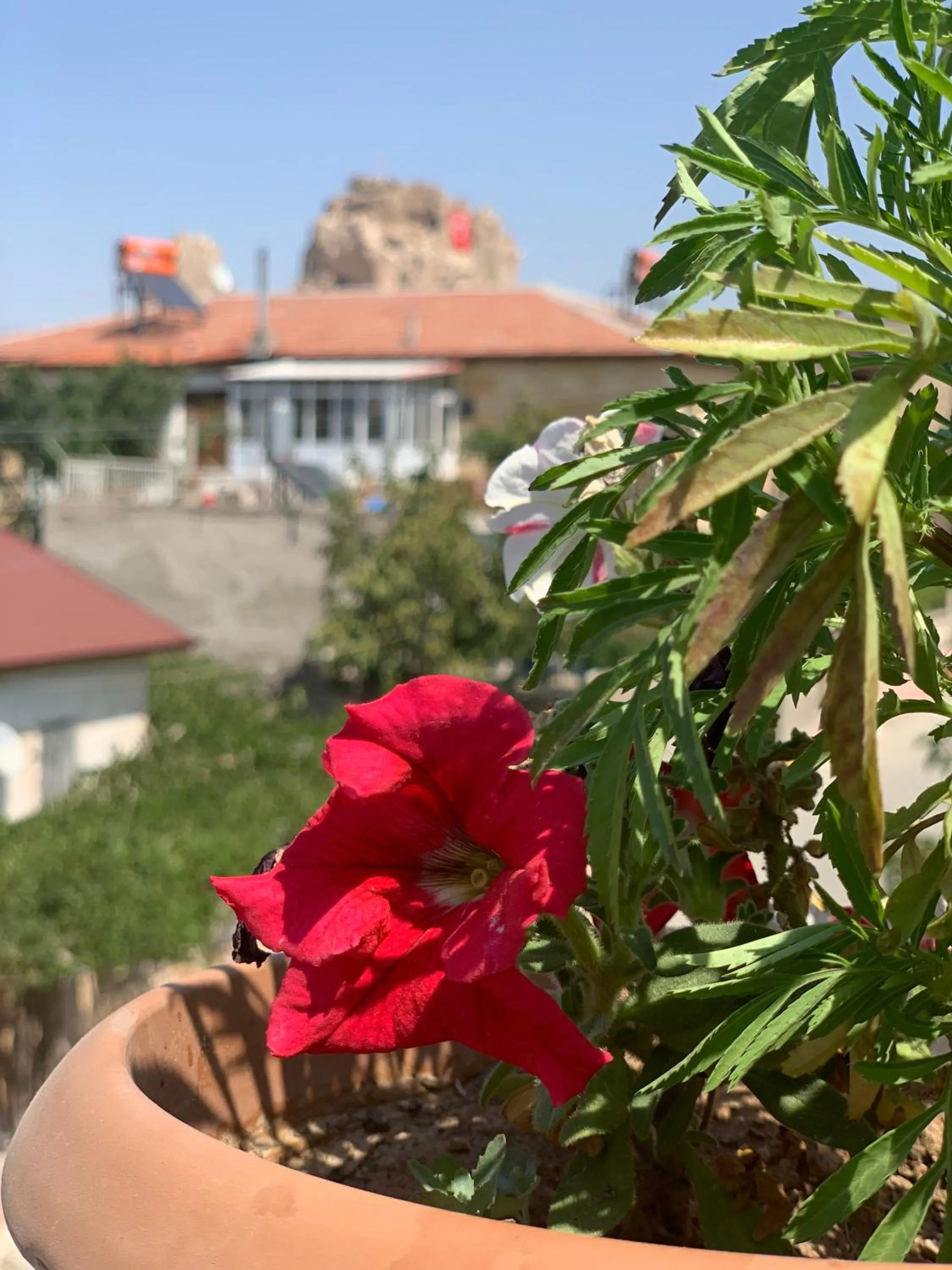 Off site in Capiedra Hotel