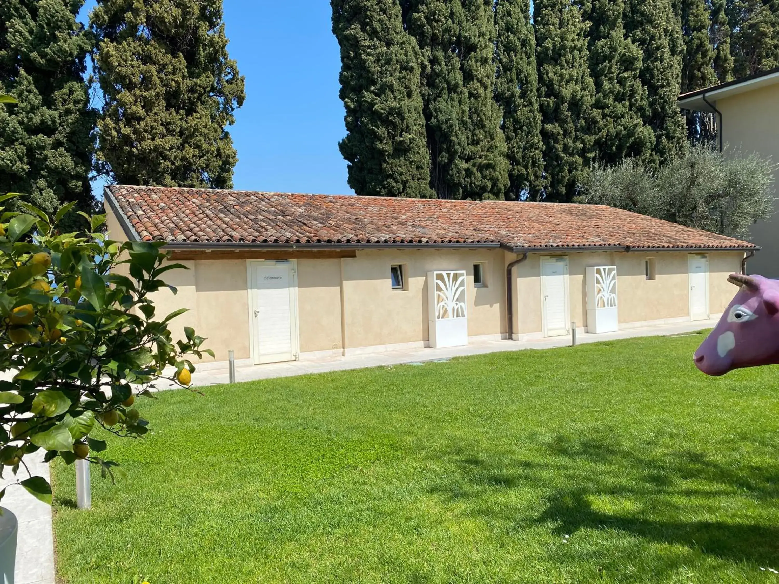 Garden in Hotel Baia dei Pini