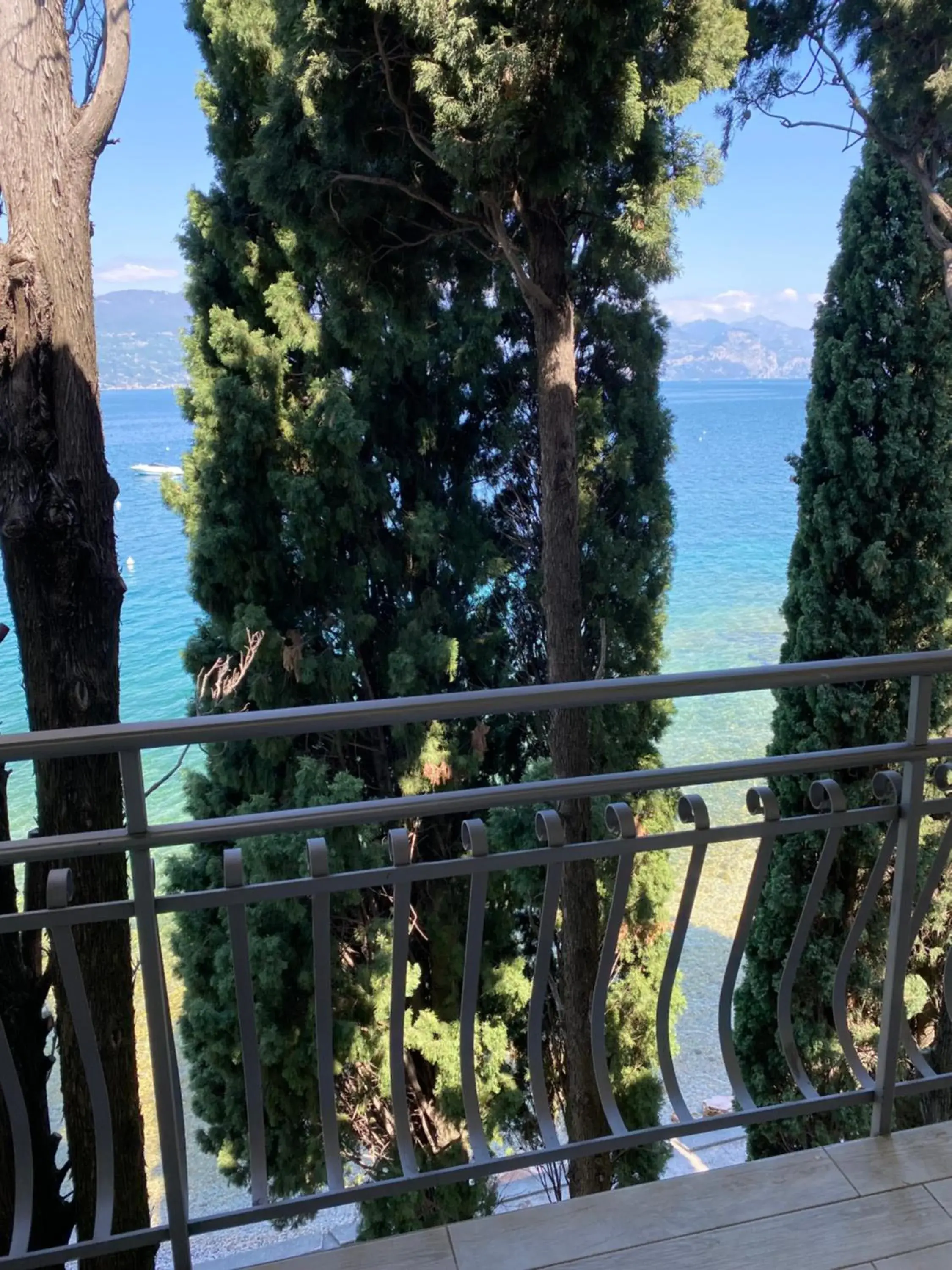 Lake view, Balcony/Terrace in Hotel Baia dei Pini