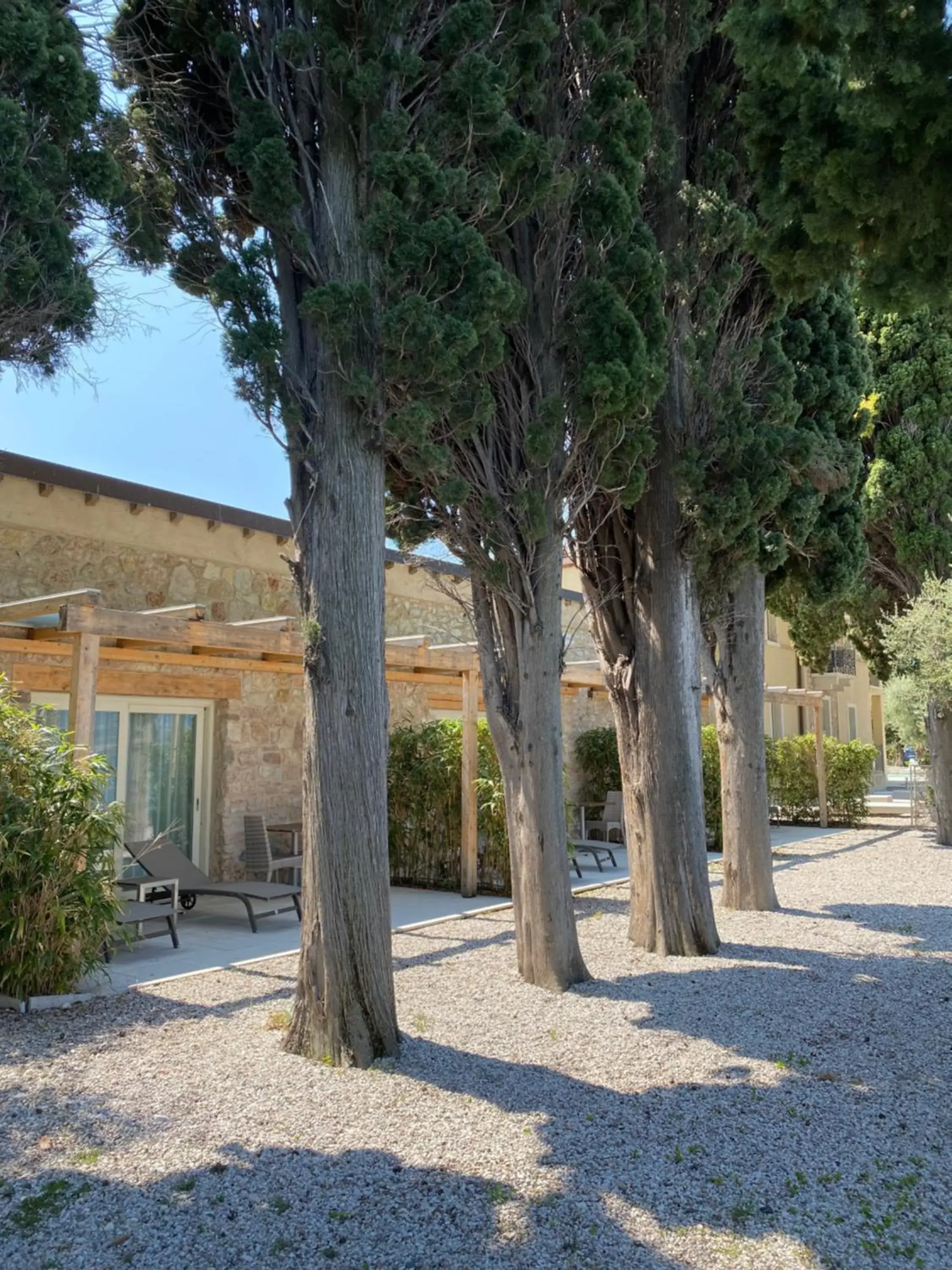 Garden in Hotel Baia dei Pini