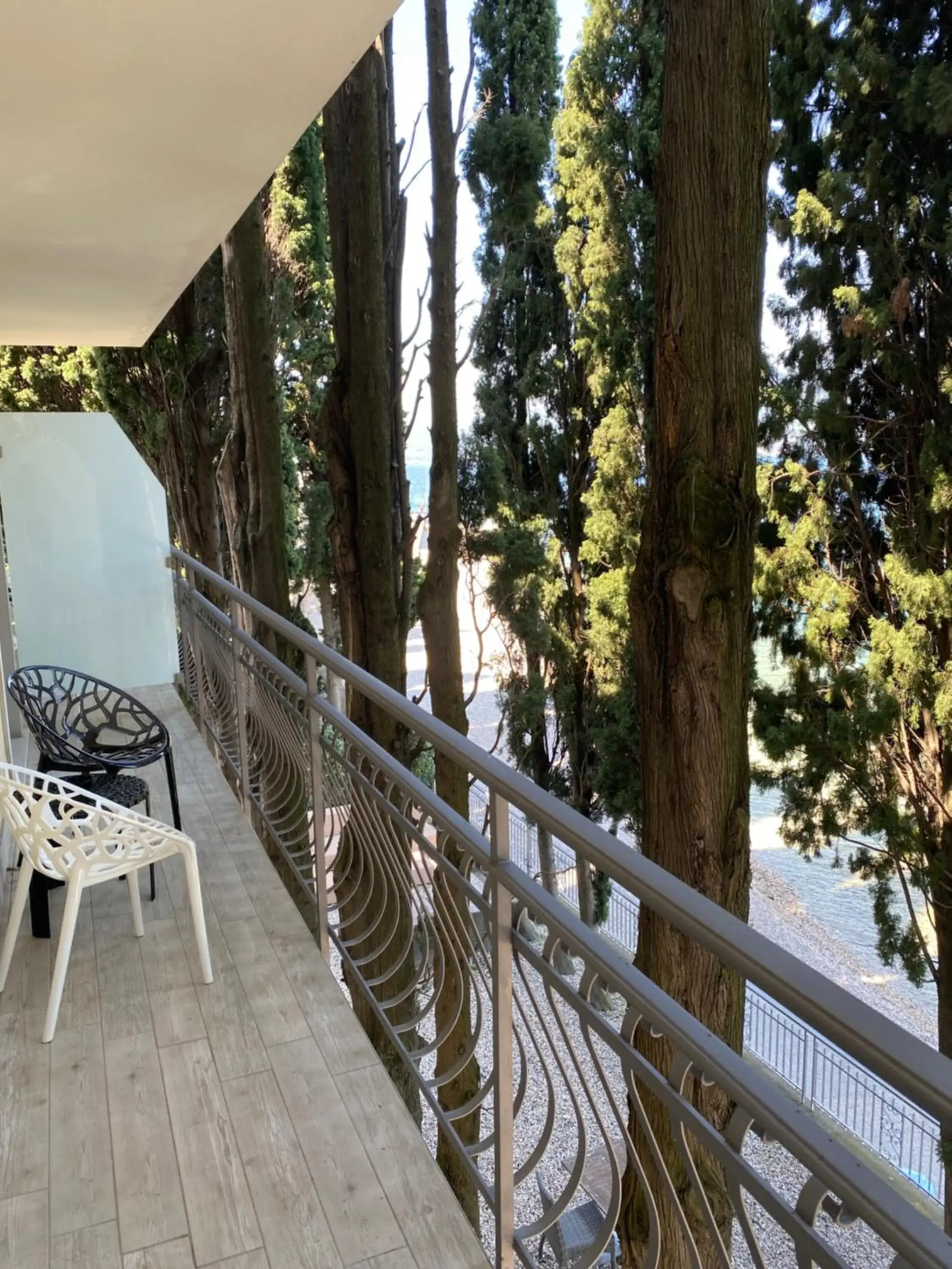 Lake view, Balcony/Terrace in Hotel Baia dei Pini