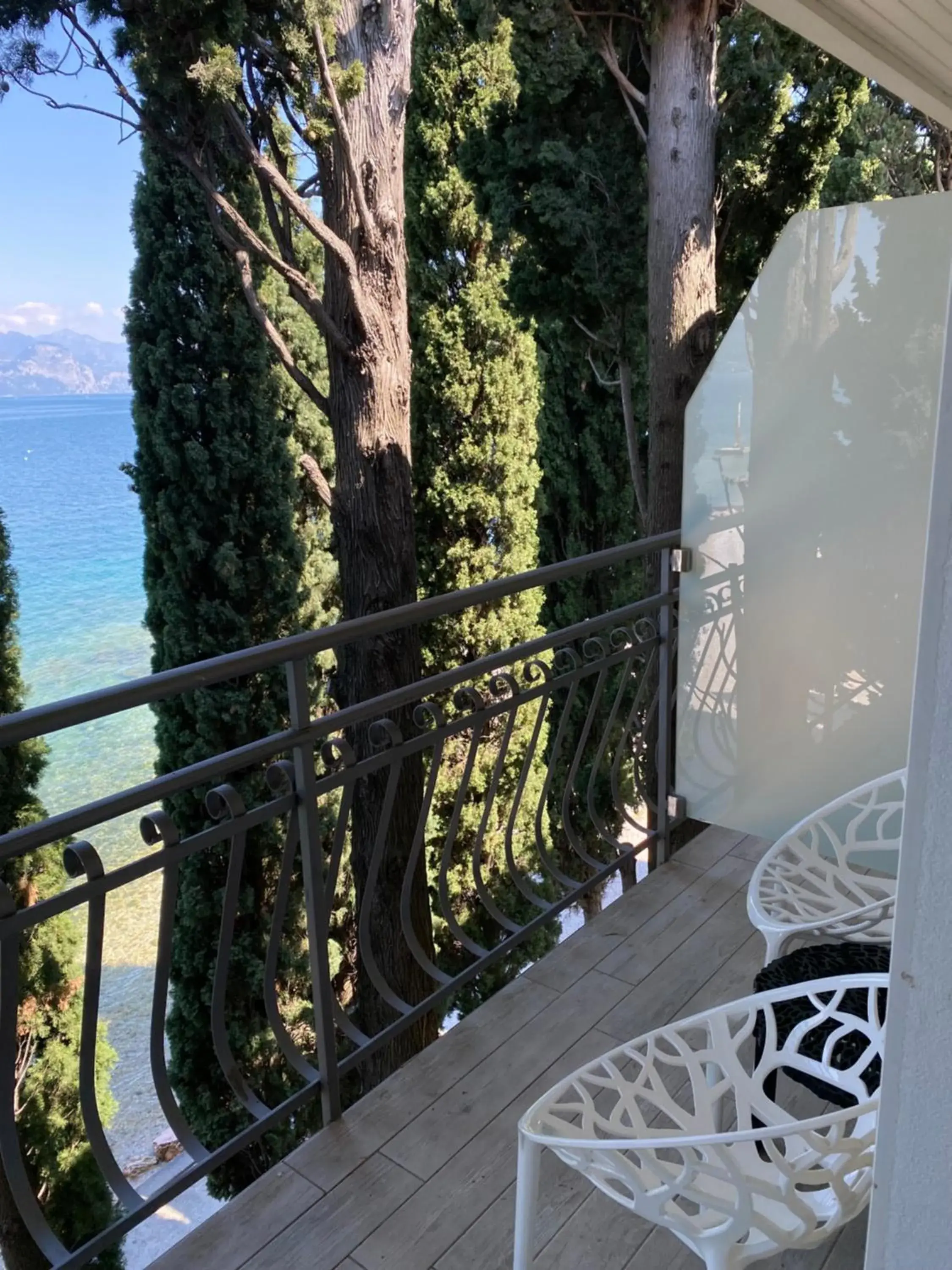 Lake view, Balcony/Terrace in Hotel Baia dei Pini