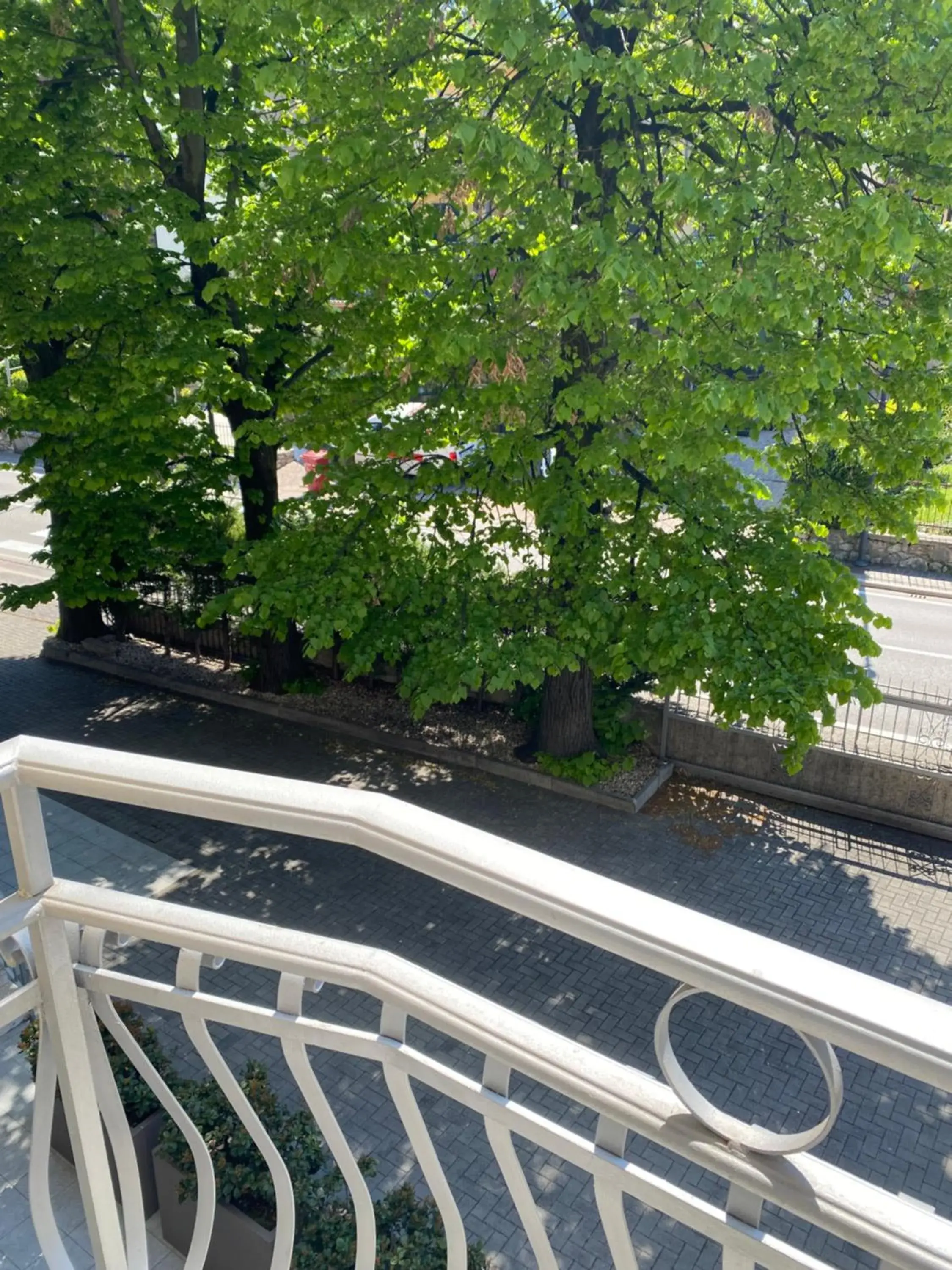 Garden view, Balcony/Terrace in Hotel Baia dei Pini