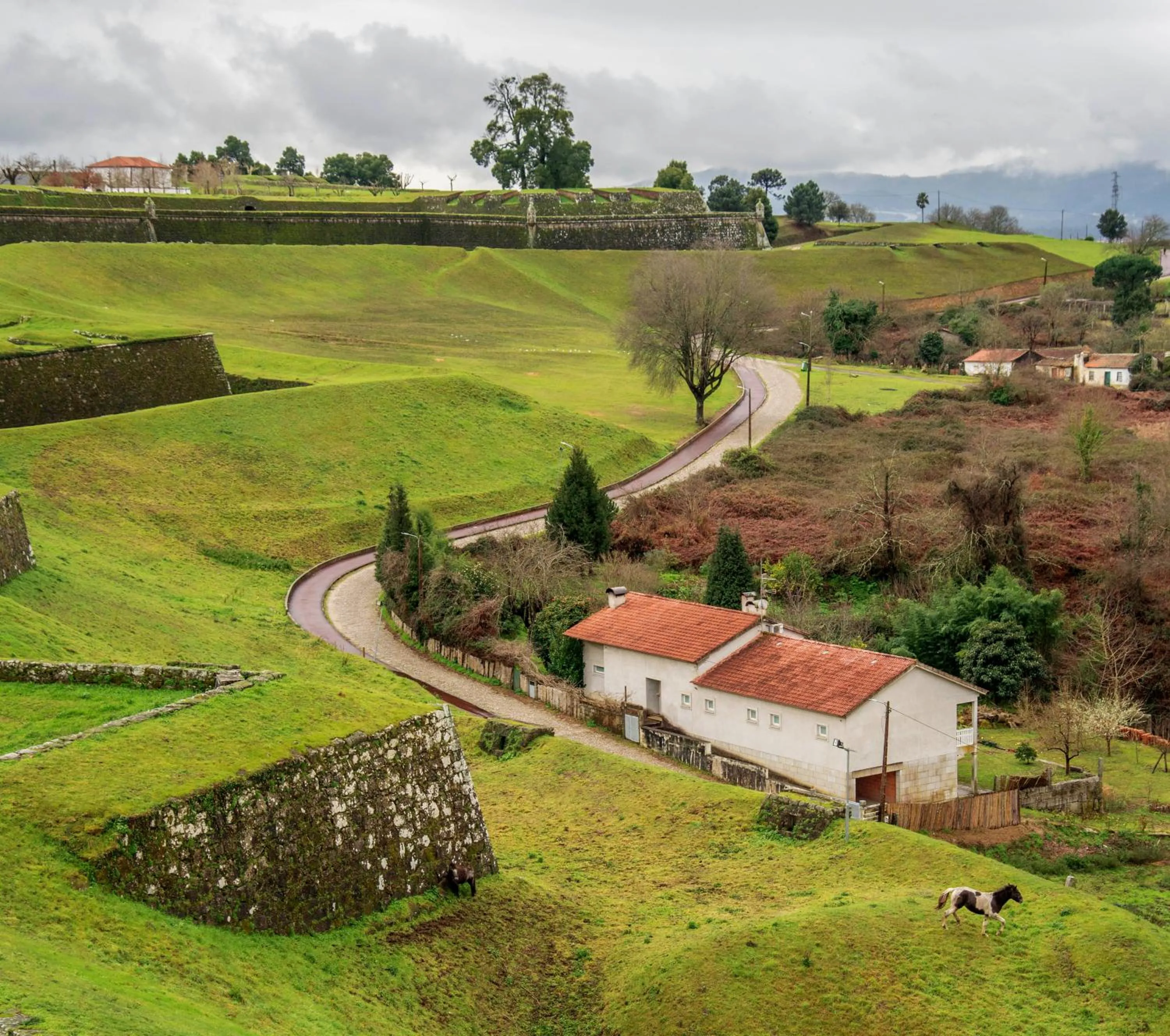 Natural landscape in Hostel Bulwark