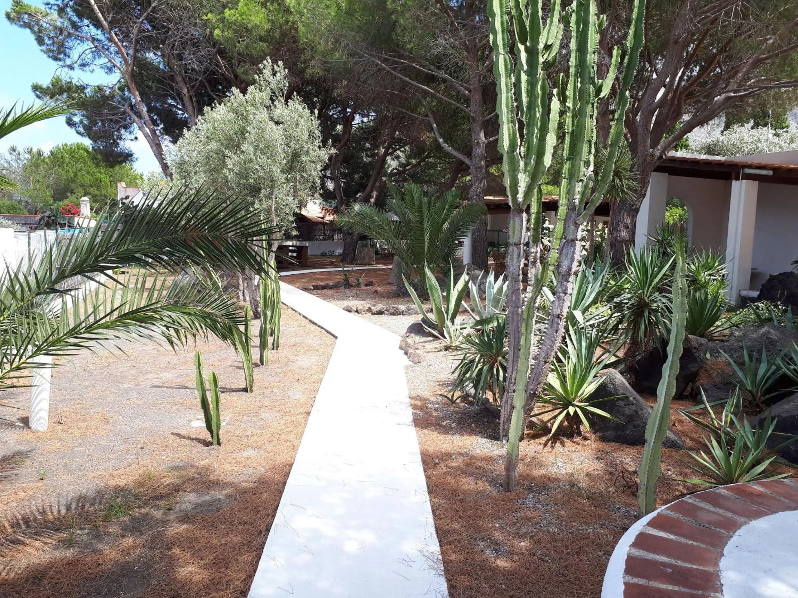 Patio in Villa Saracina