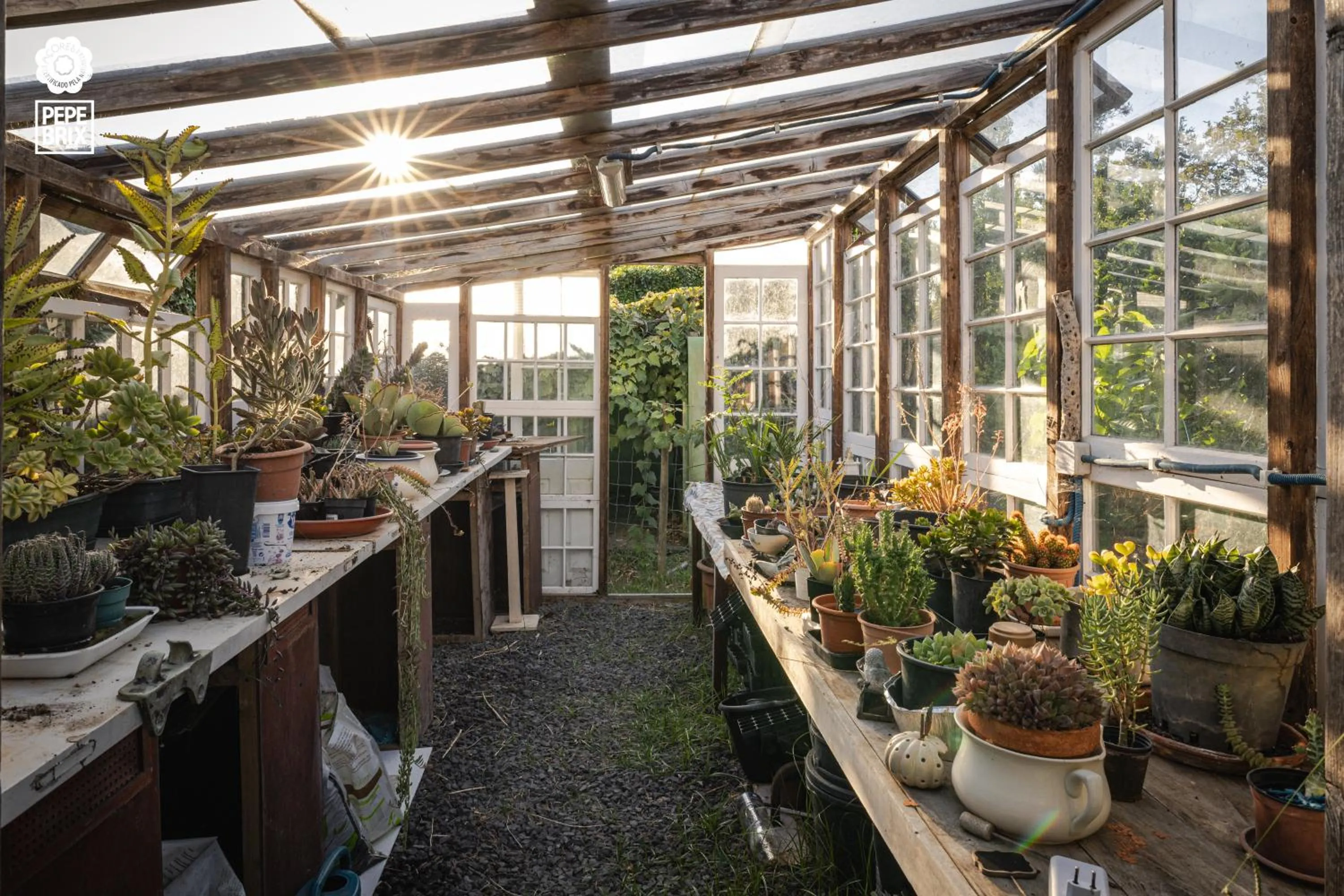Garden in Quinta da Meia Eira