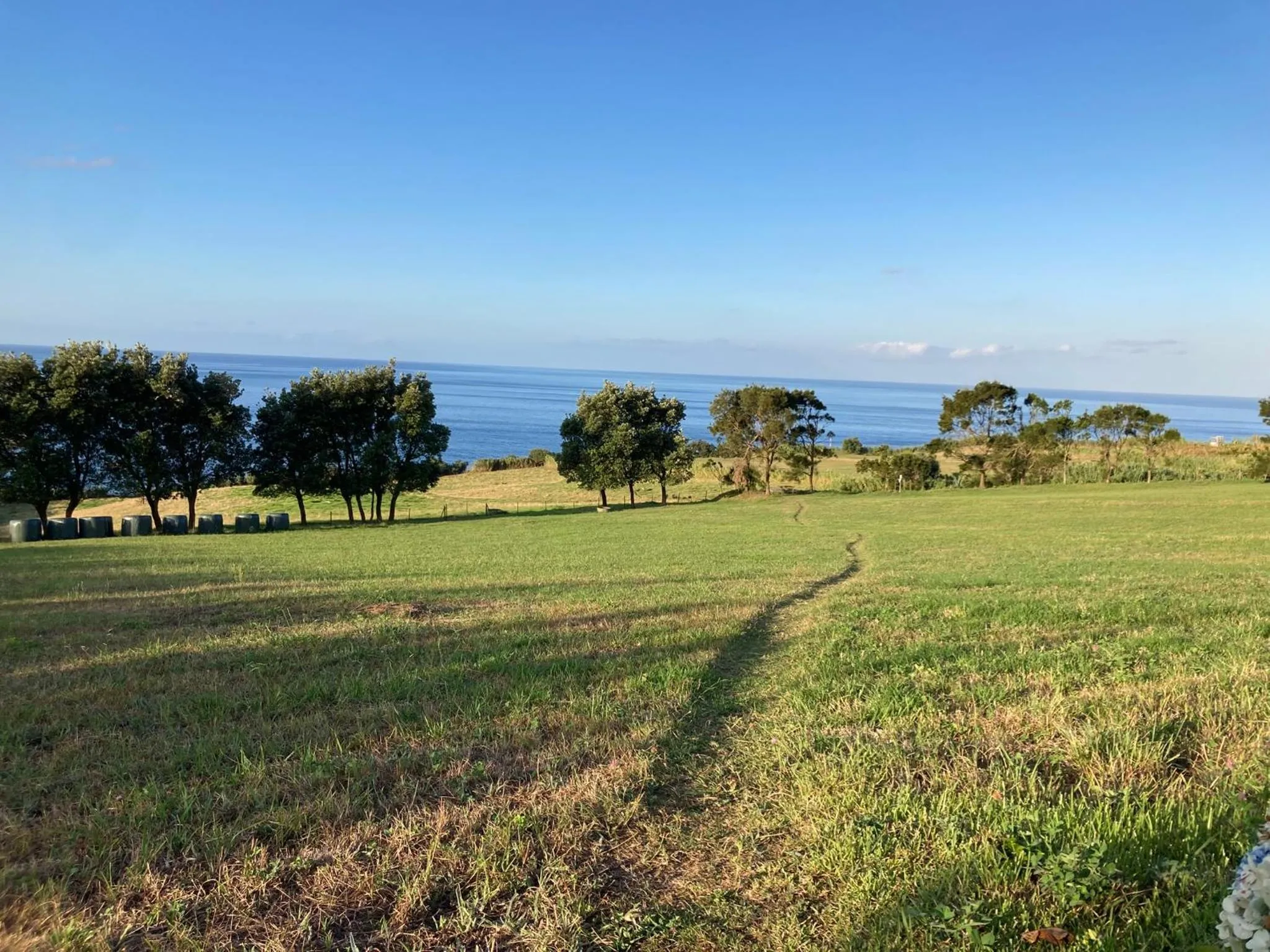 Natural landscape in Quinta da Meia Eira