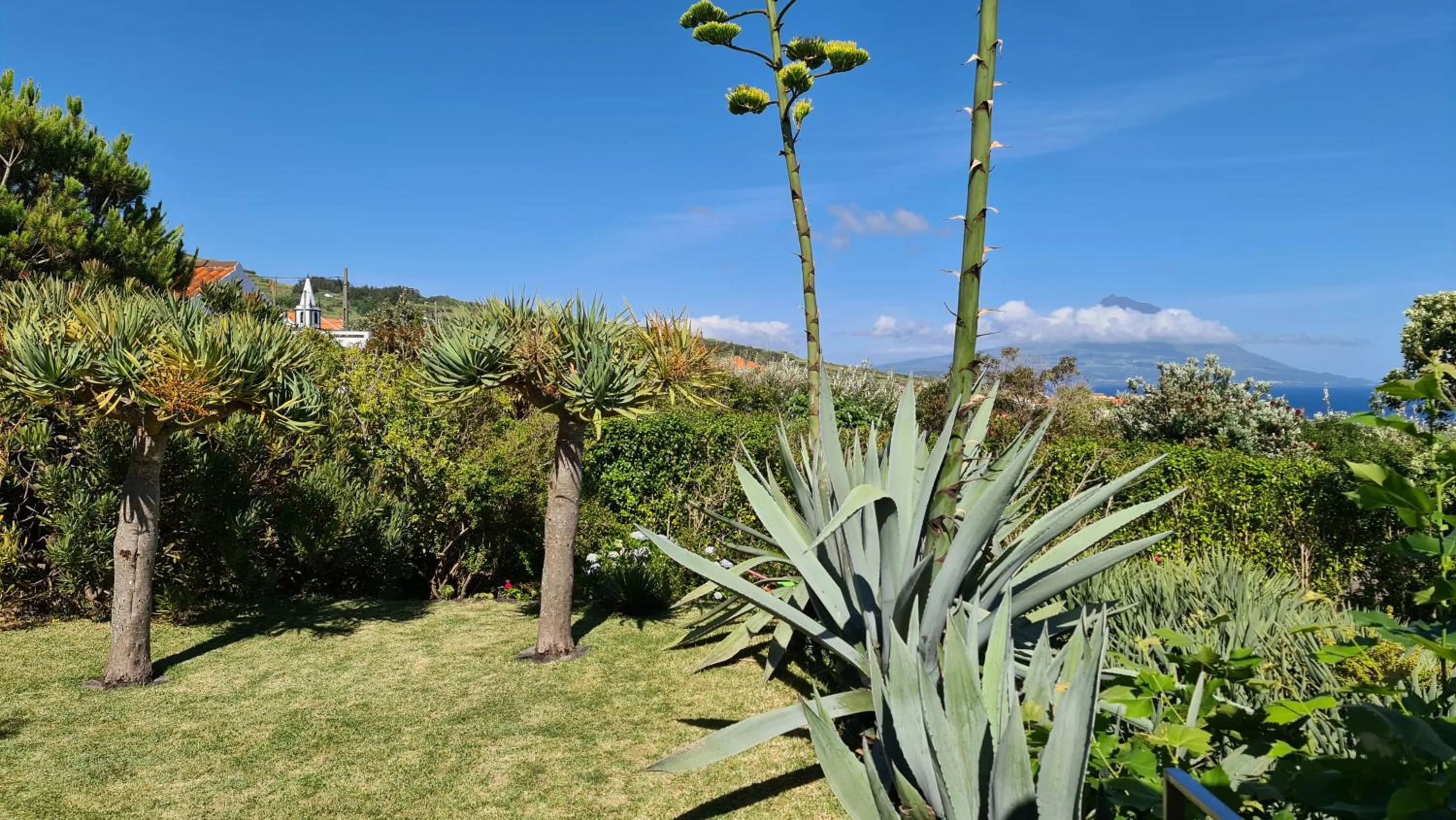 View (from property/room) in Quinta da Meia Eira