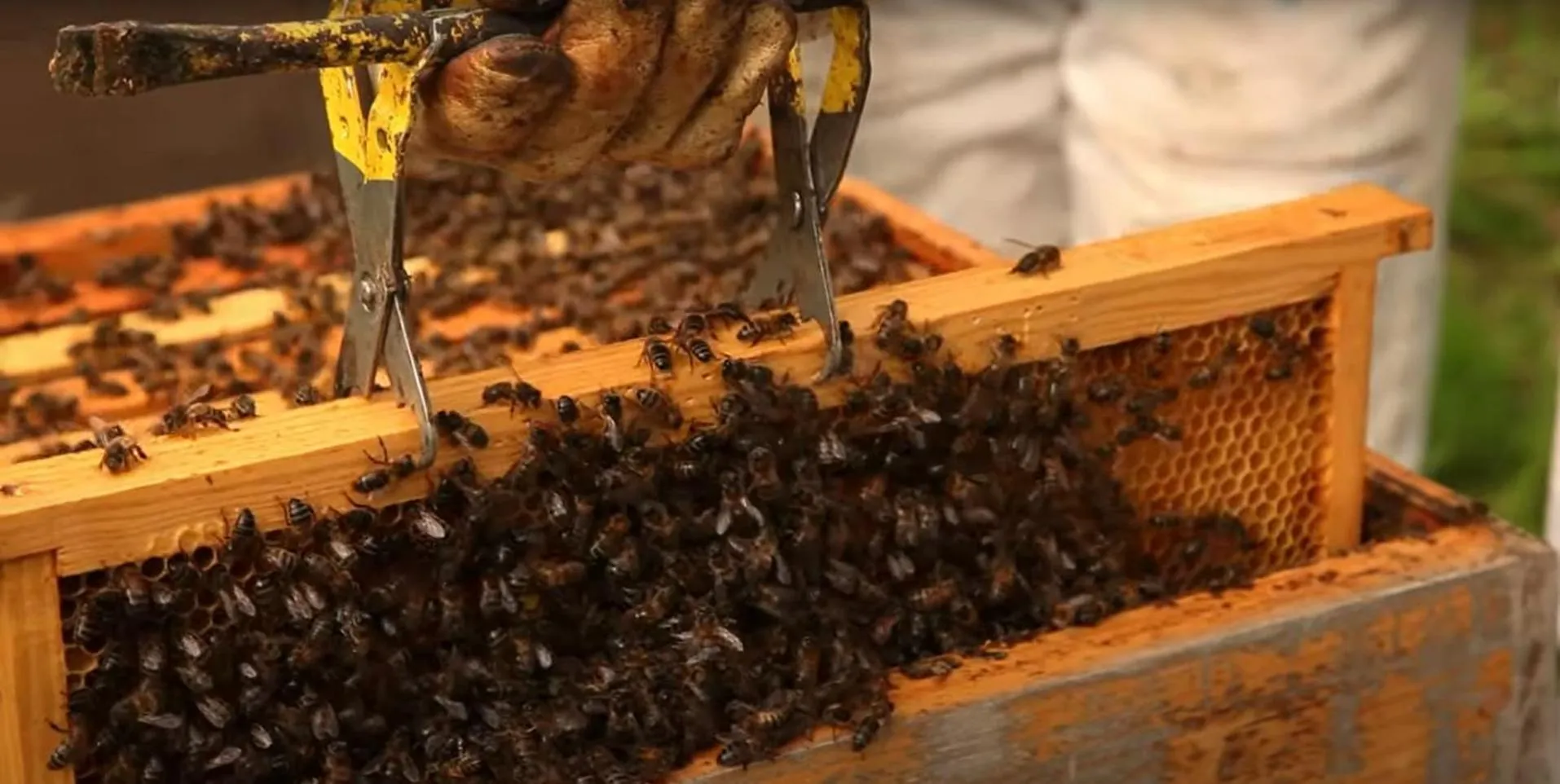 Garden in Quinta da Meia Eira