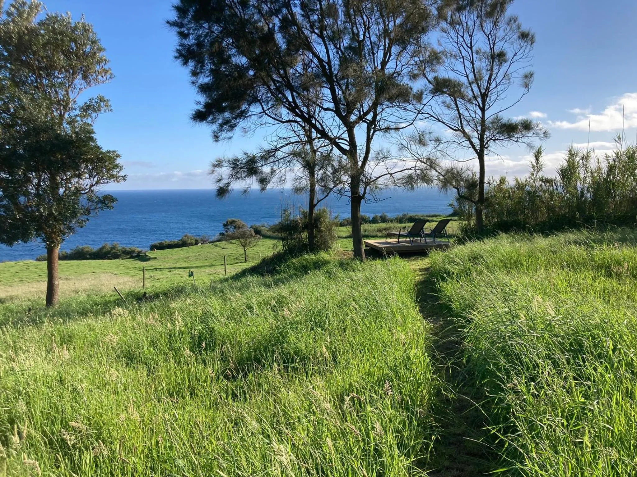 View (from property/room) in Quinta da Meia Eira