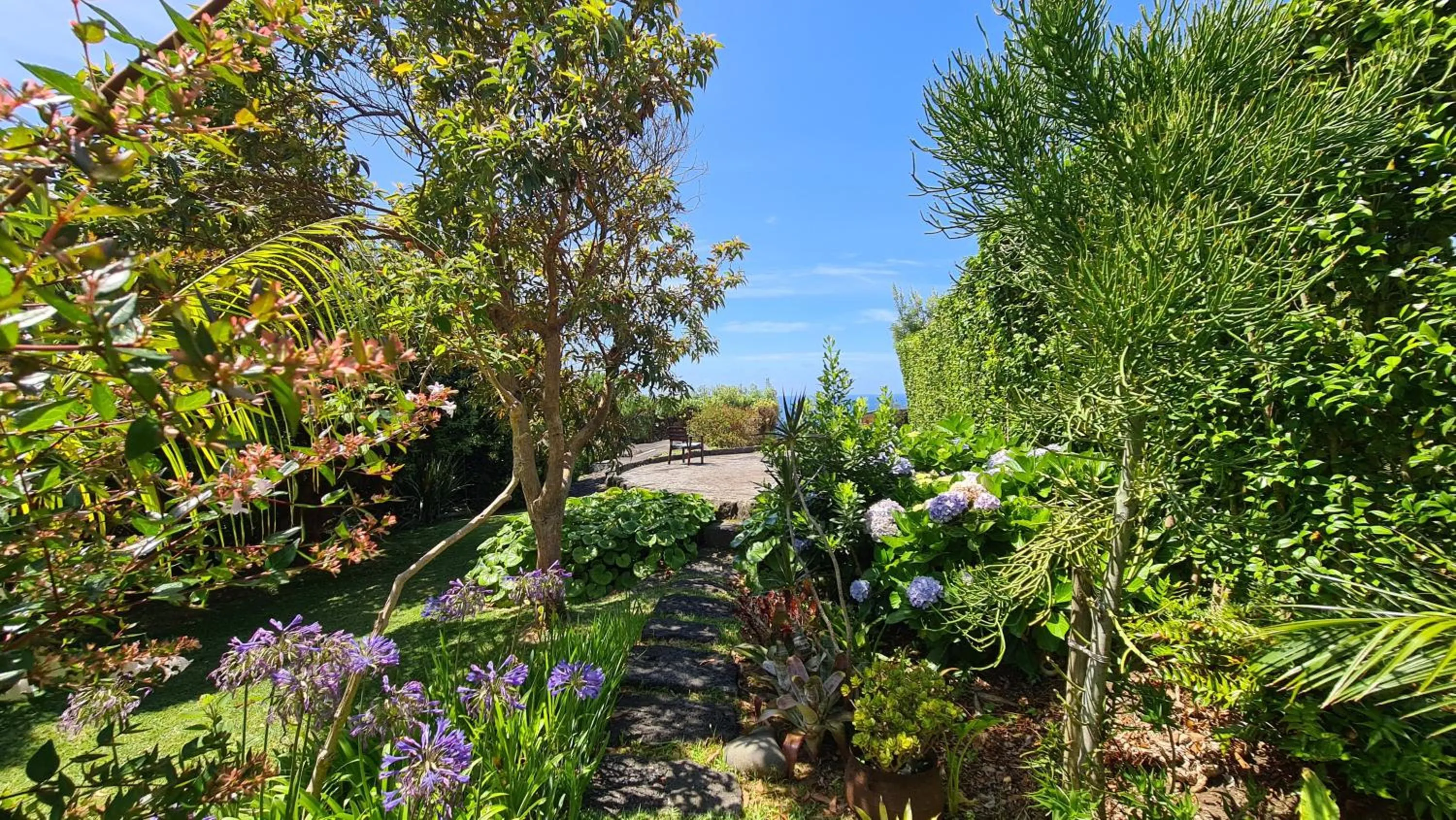 Garden in Quinta da Meia Eira