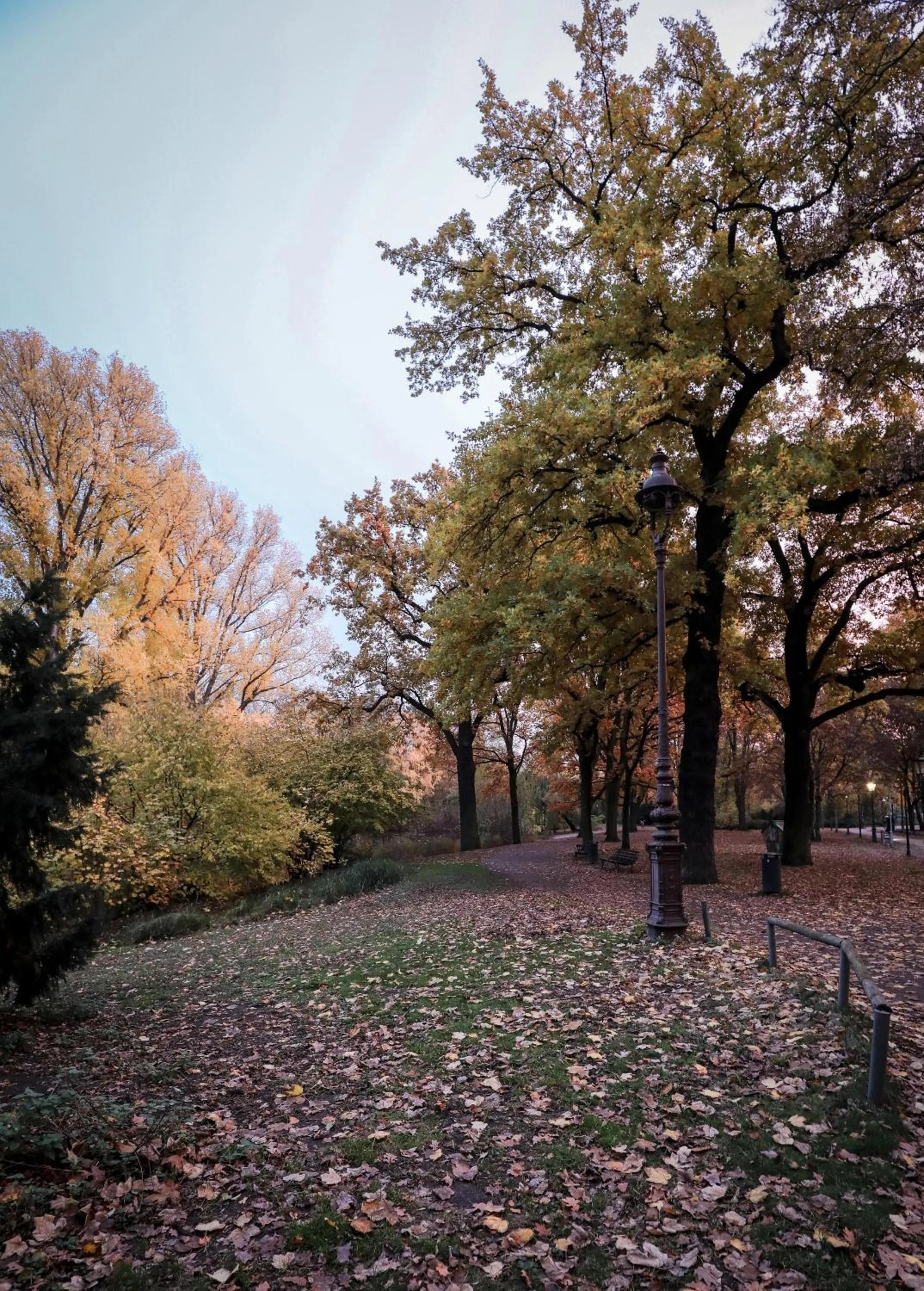 Natural landscape in KPM Hotel & Residences Berlin, a Member of Design Hotels