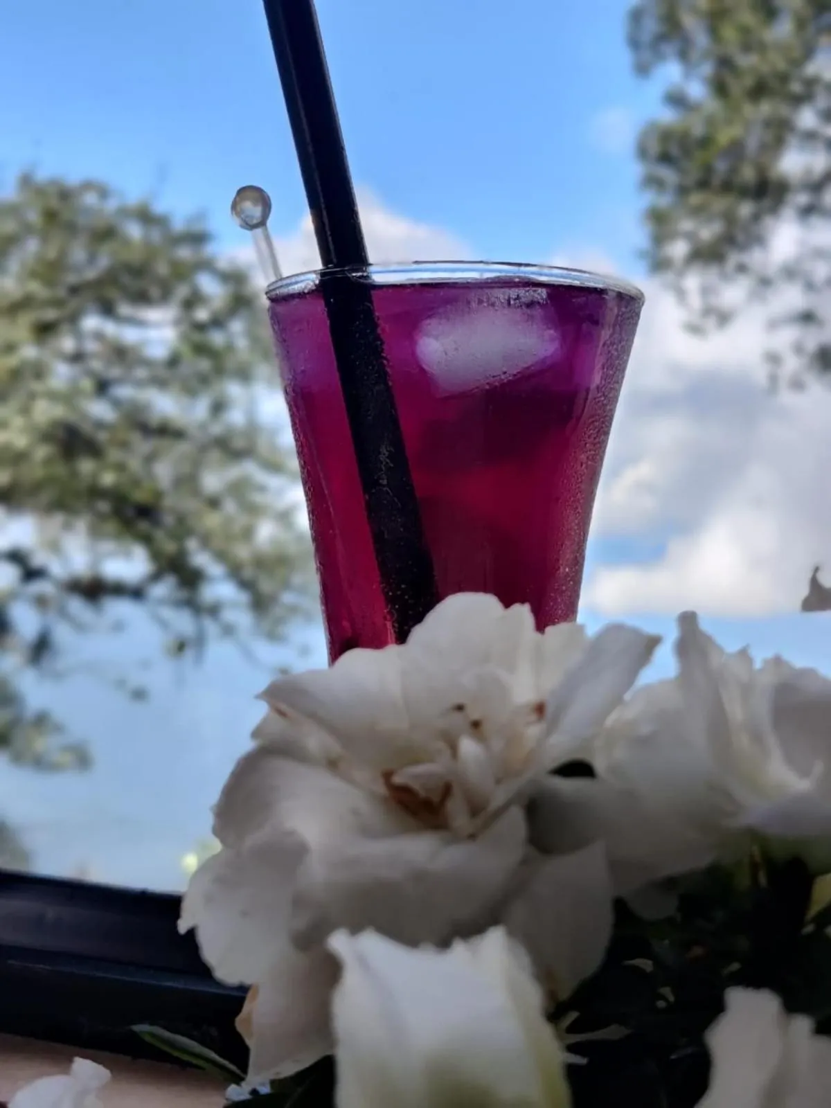 Food and drinks in Arcadia Heritage Resort