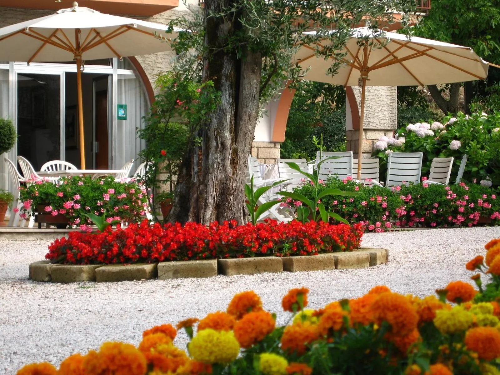 Patio in Hotel Zanetti