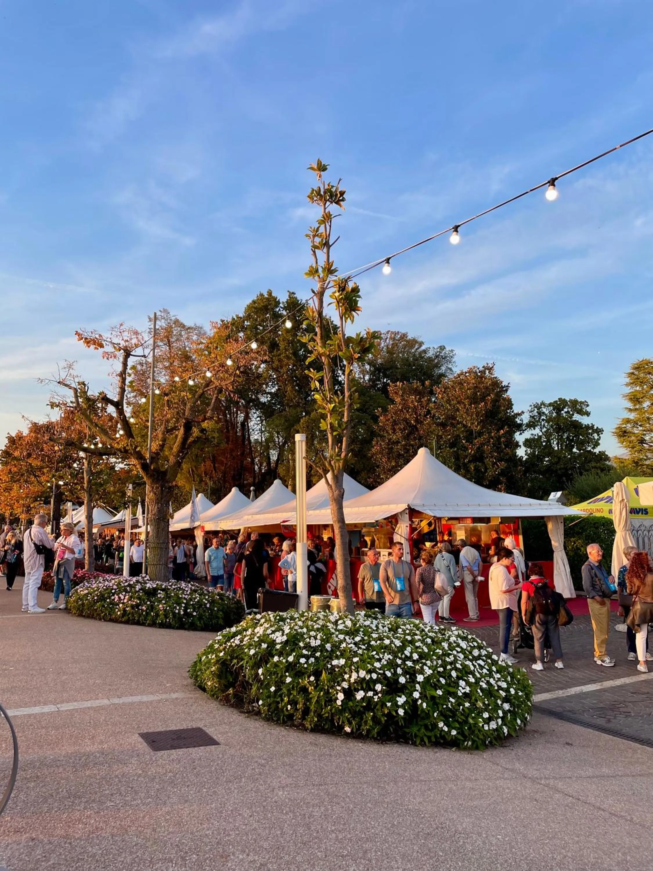 City view in B City Hotel