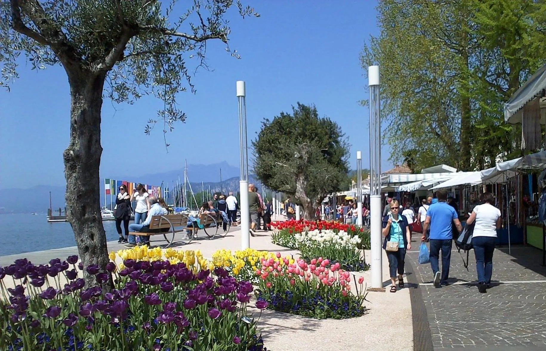 Spring in B City Hotel