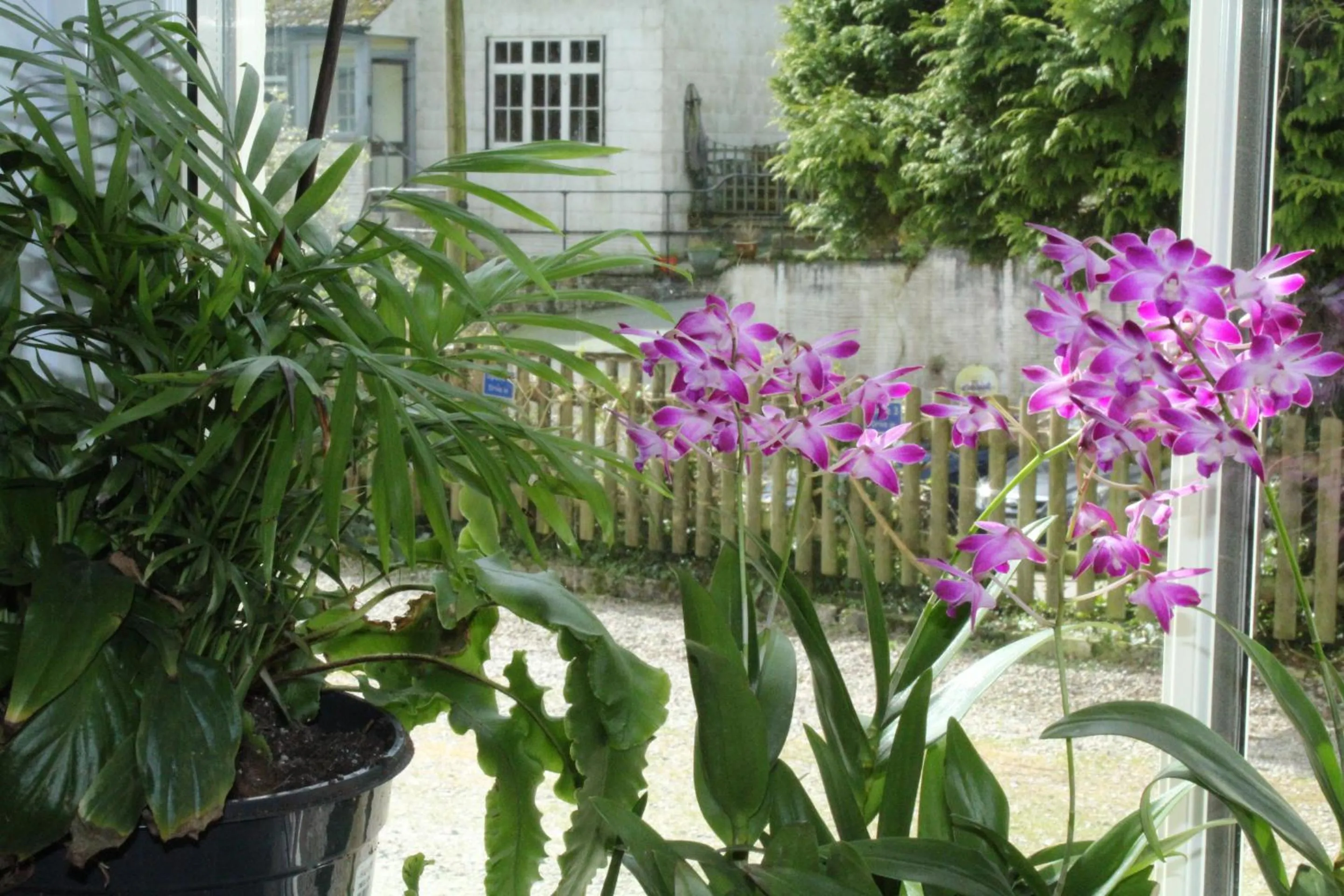 Restaurant/places to eat in Penryn House Hotel