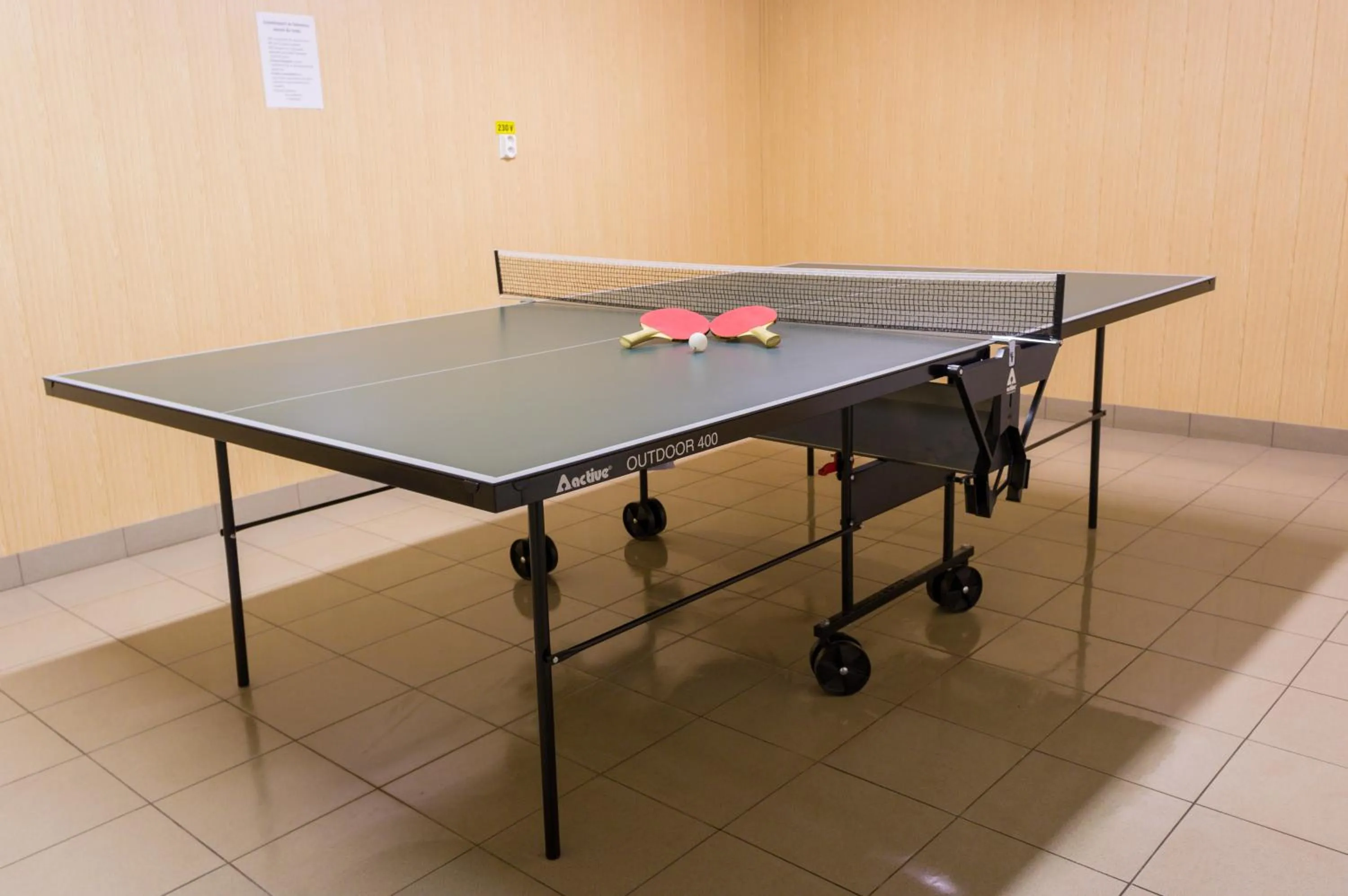 Table tennis in Hotel Crisalpin