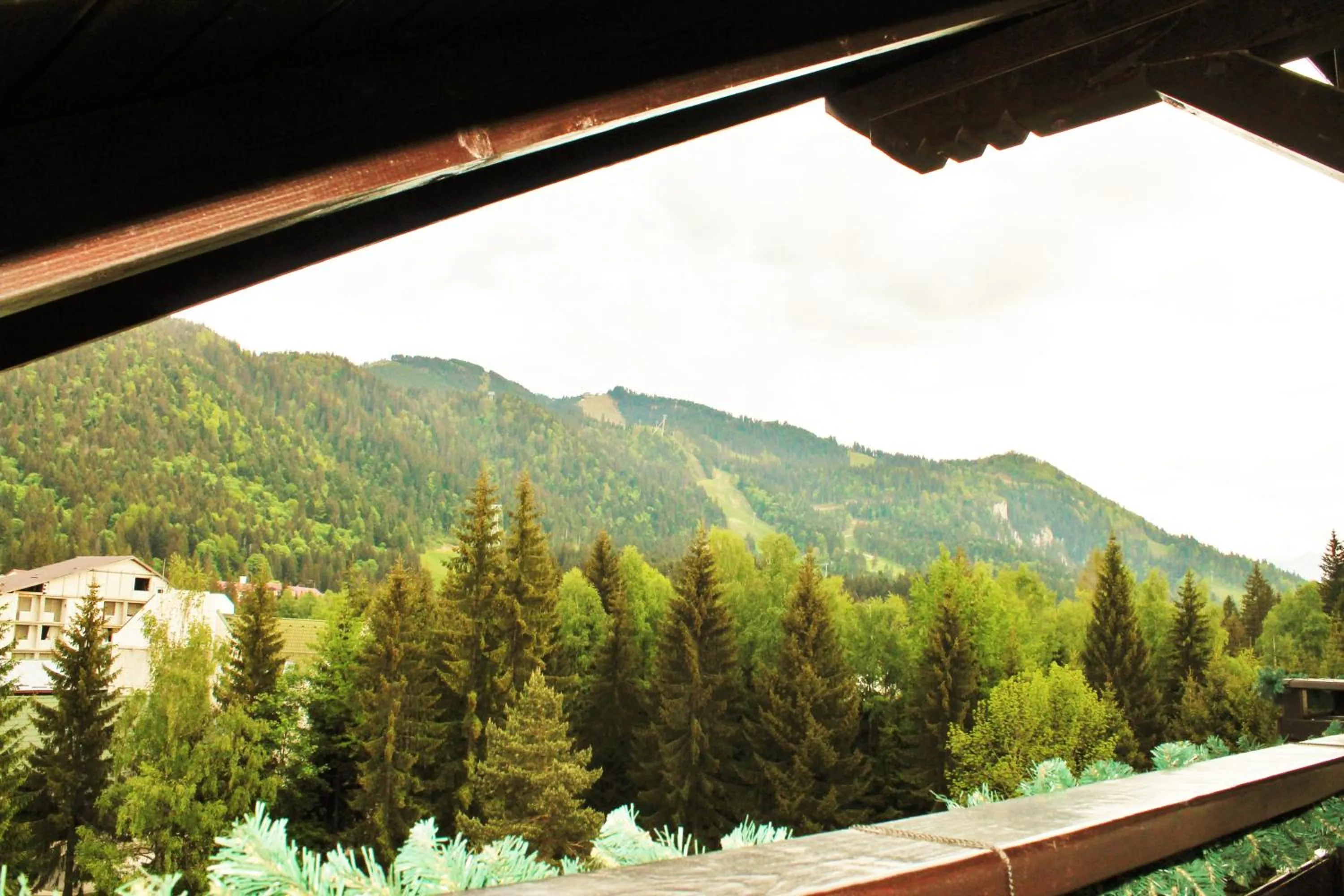 Natural landscape in Hotel Crisalpin