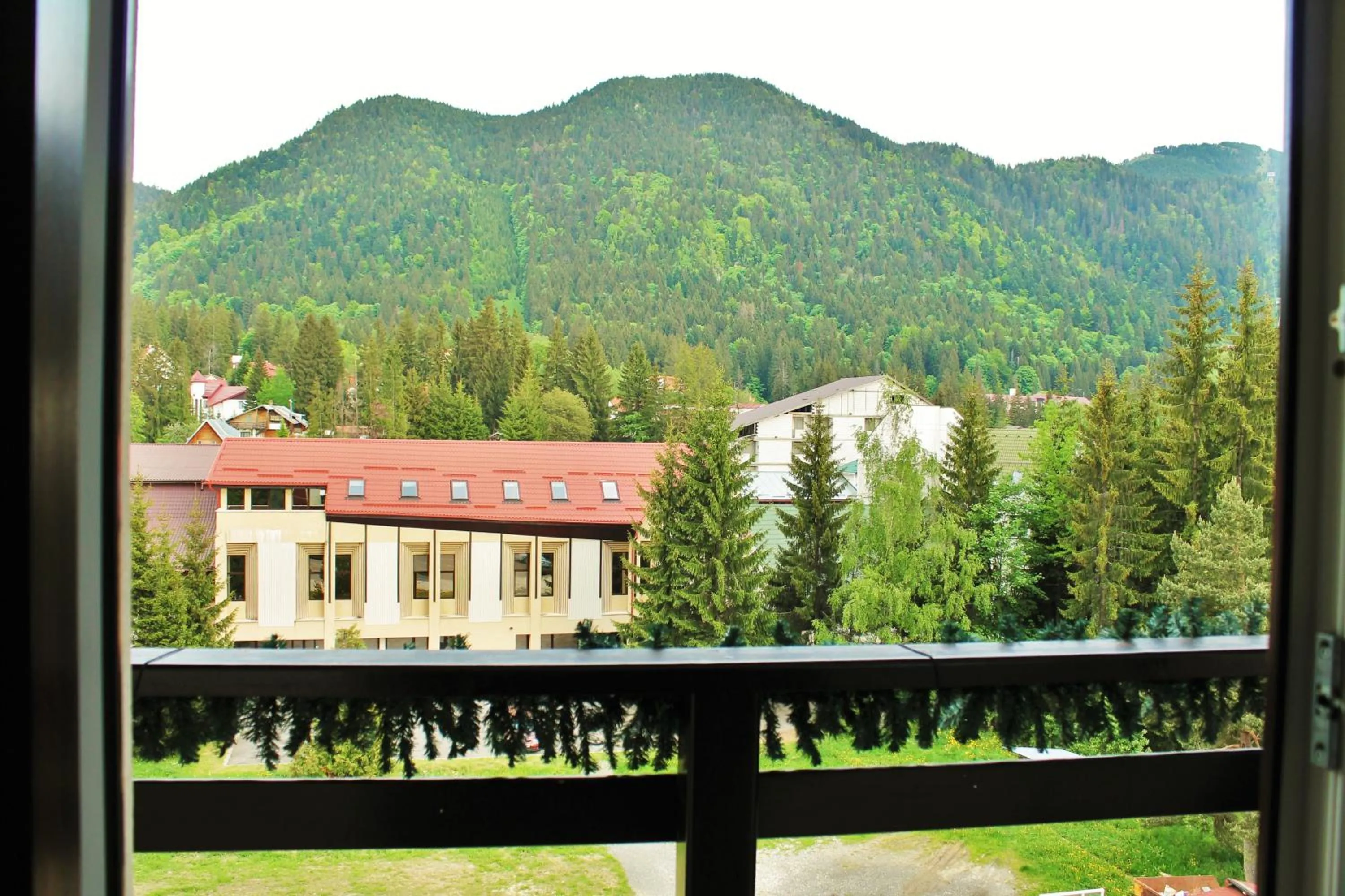Natural landscape in Hotel Crisalpin