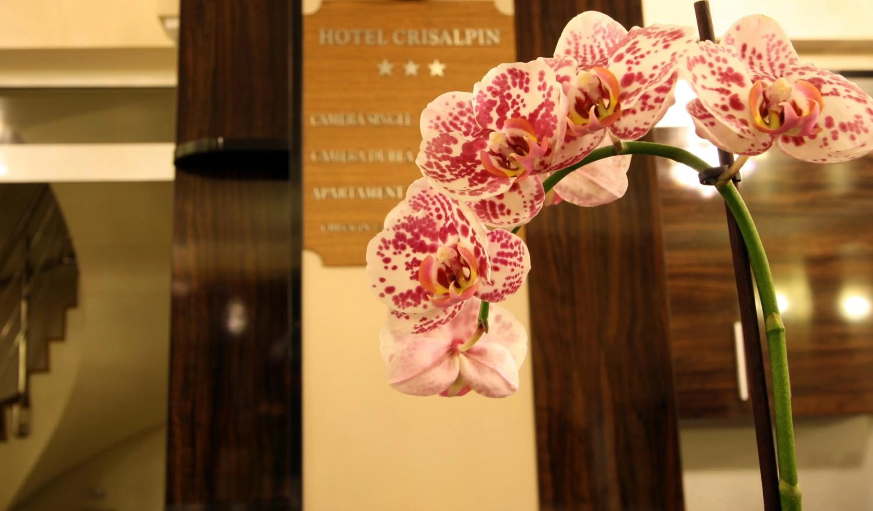 Other in Hotel Crisalpin