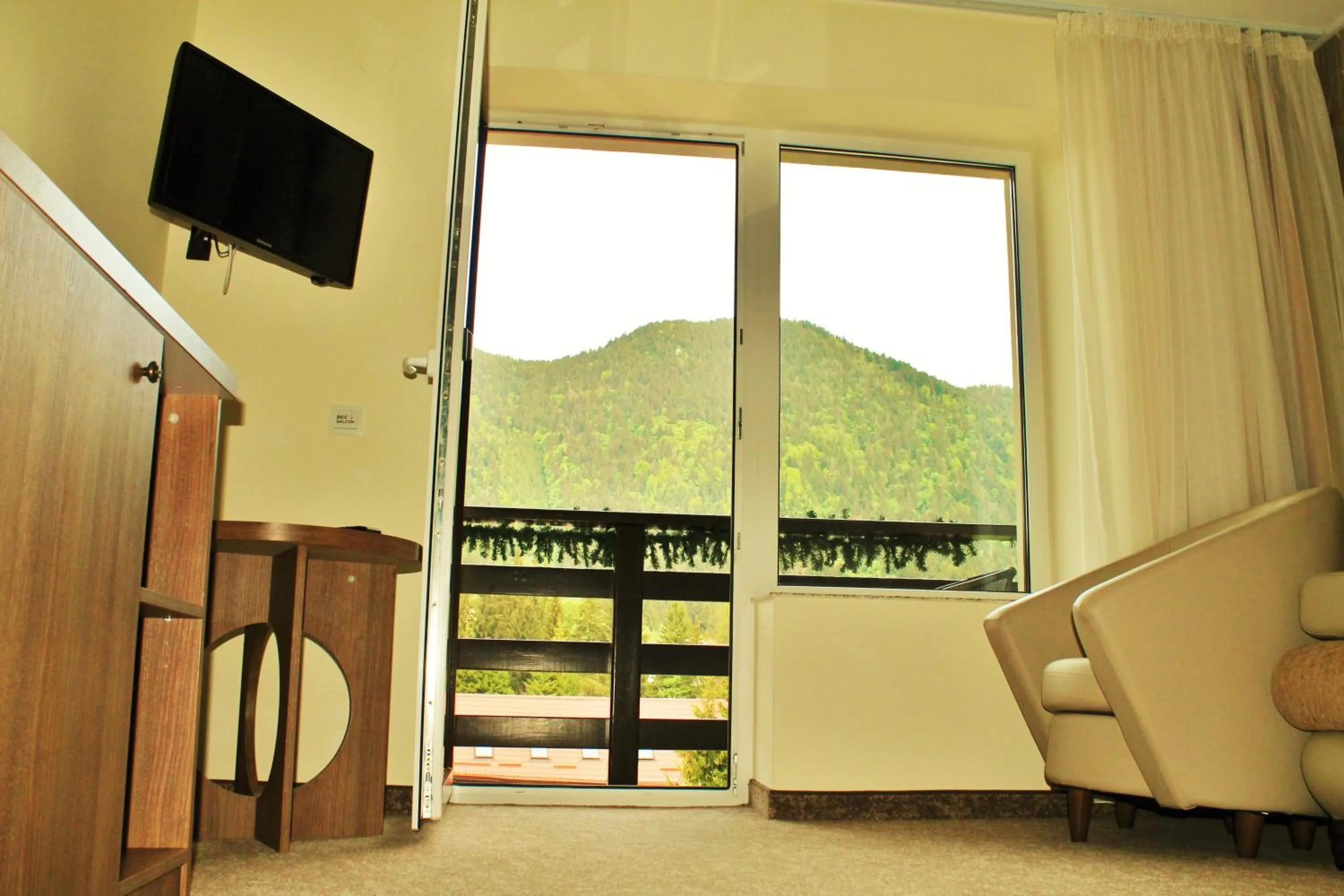 Mountain view in Hotel Crisalpin