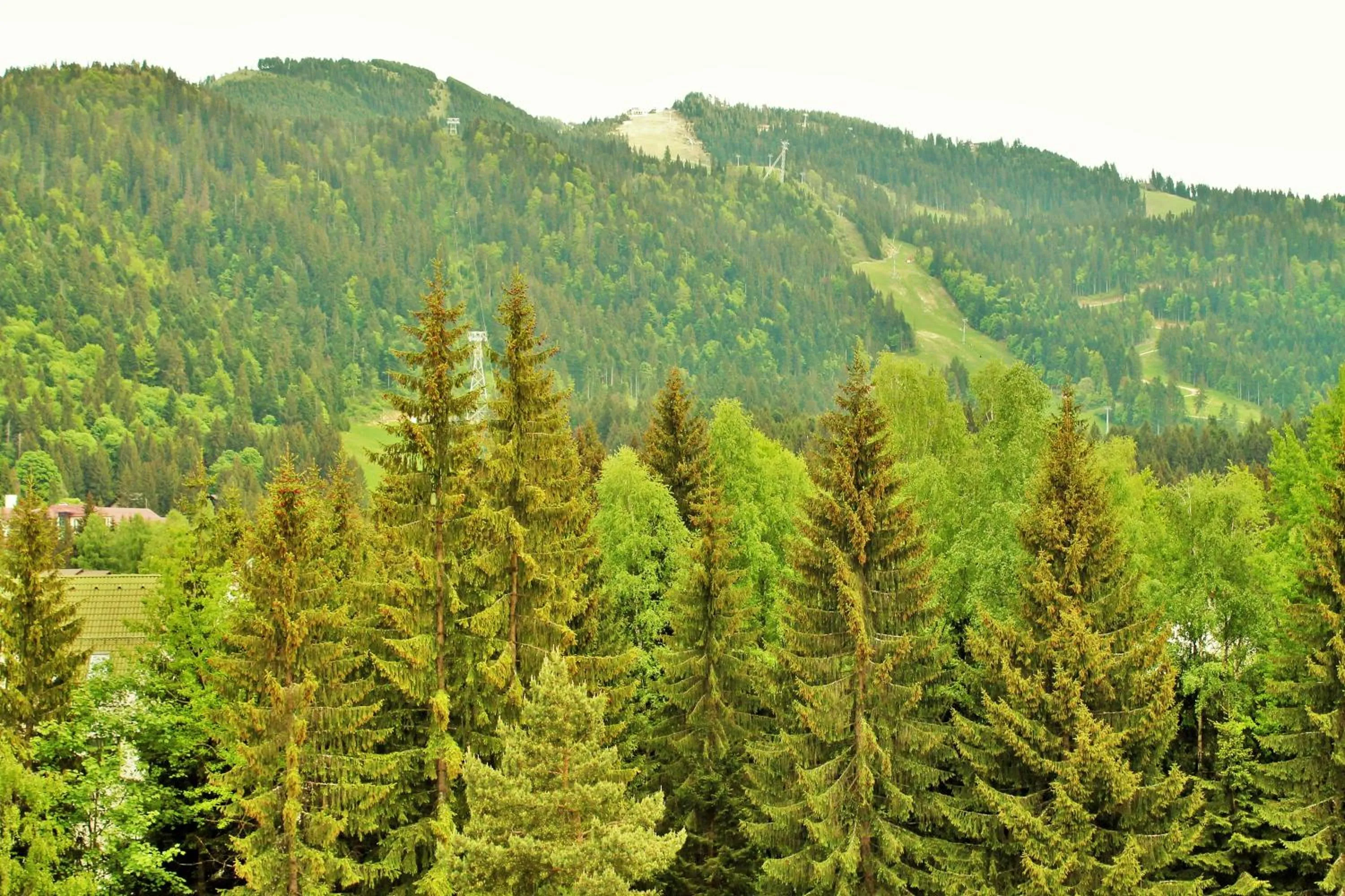 Mountain view in Hotel Crisalpin